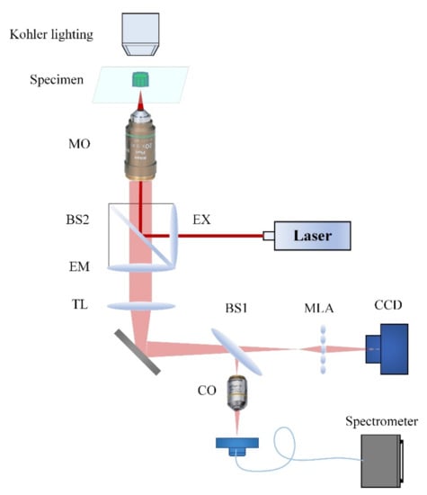 Applied Sciences | Free Full-Text | Autostereoscopic-Raman Spectrometry ...