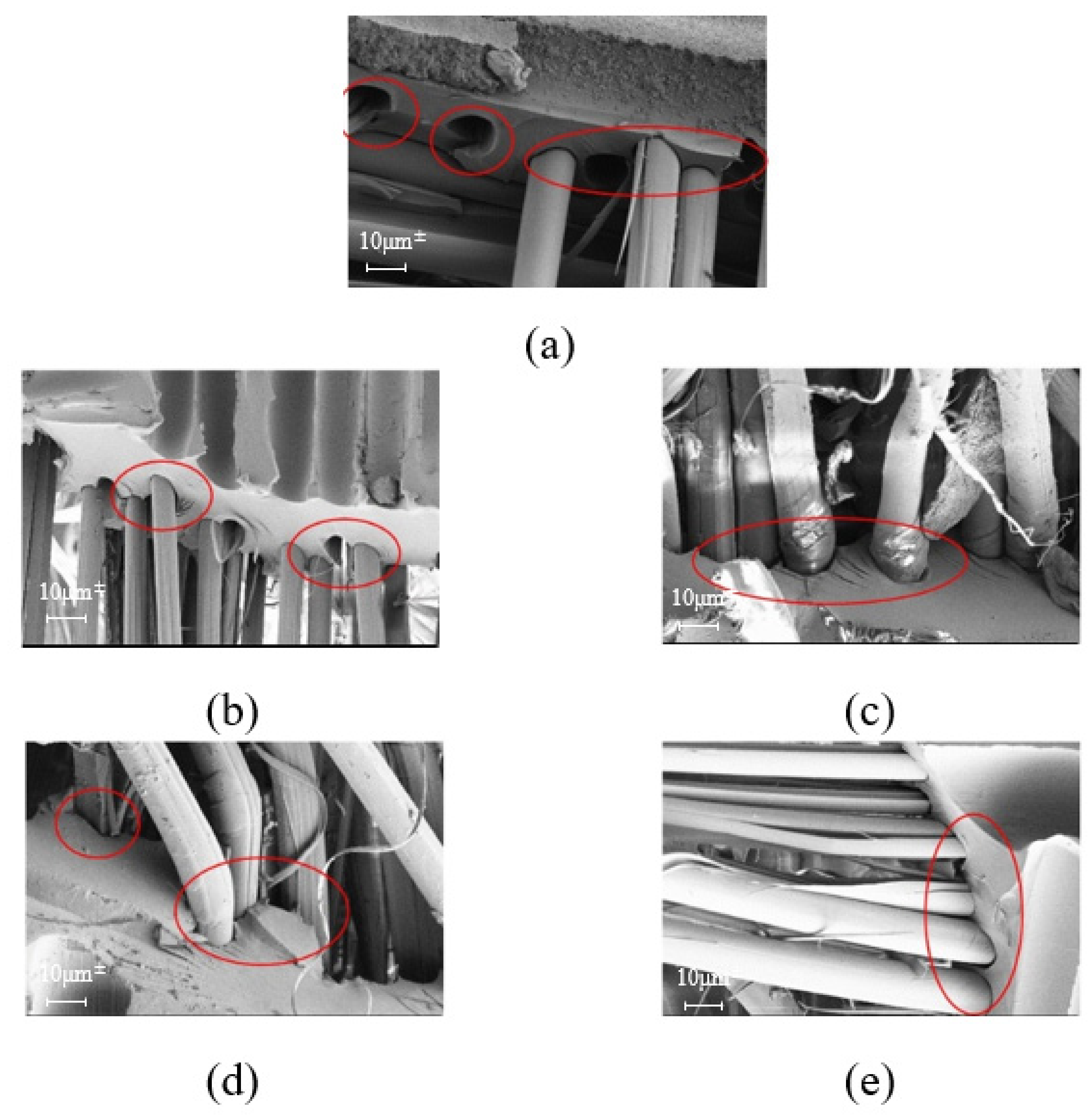 Applsci 12 03119 g012