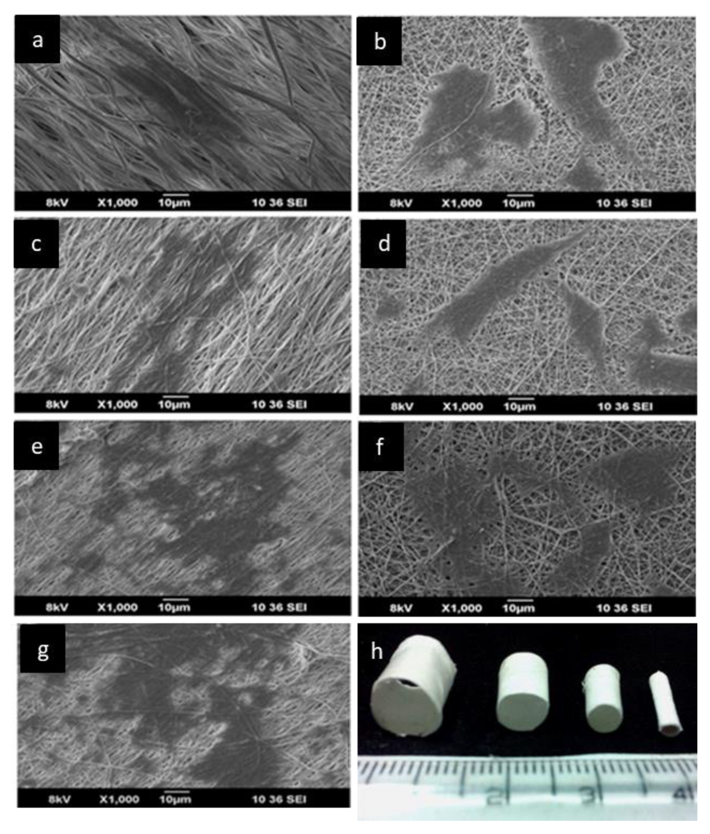 Applsci 12 03192 g018