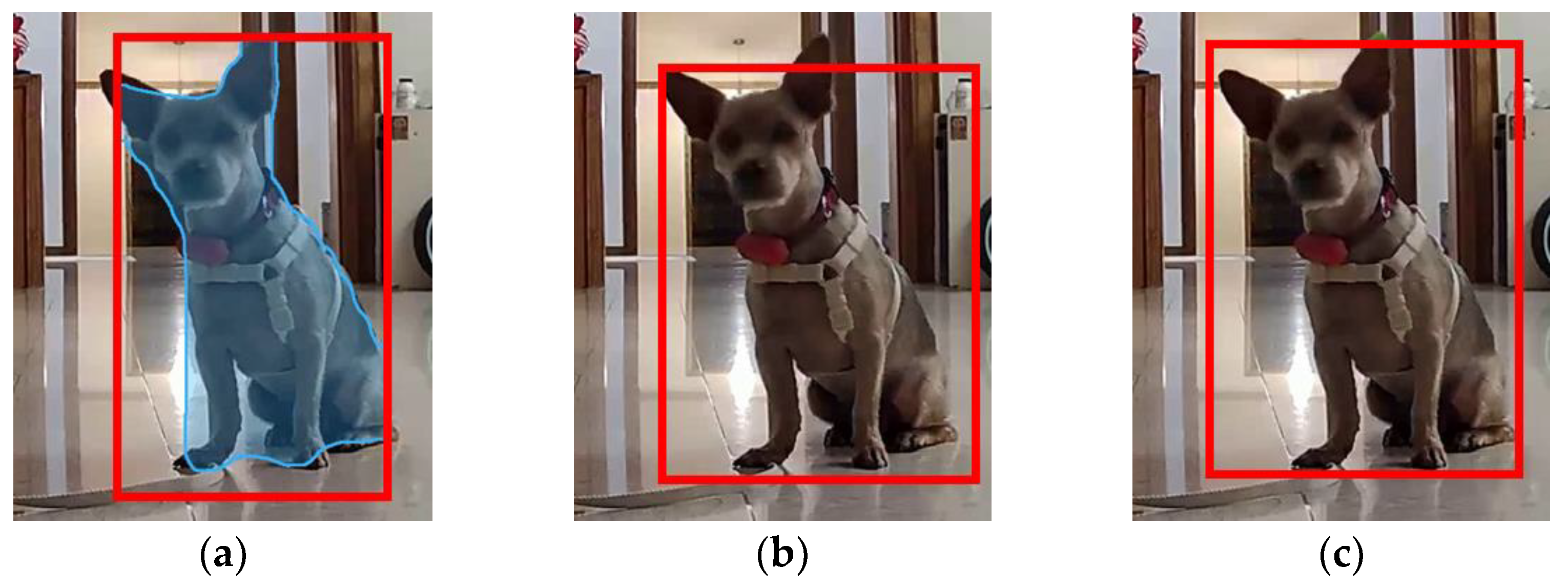 Applied Sciences | Free Full-Text | Dog Behavior Recognition Based on  Multimodal Data from a Camera and Wearable Device