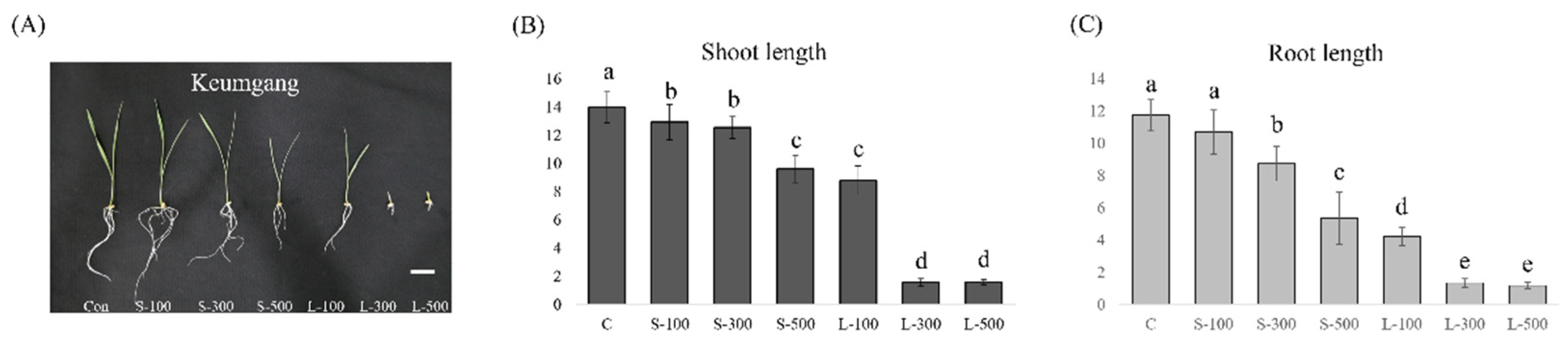 Applsci 12 03208 g003