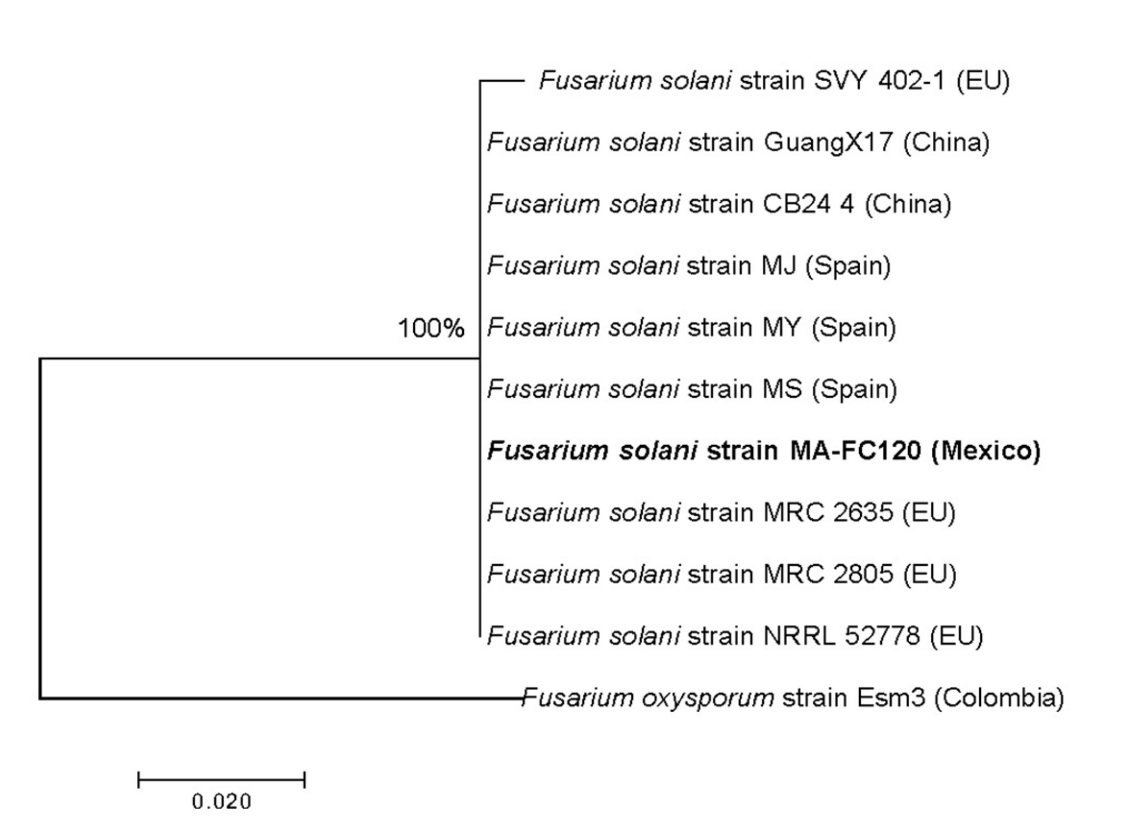 Applsci 12 03213 g002 Applsci 12 03213 g002
