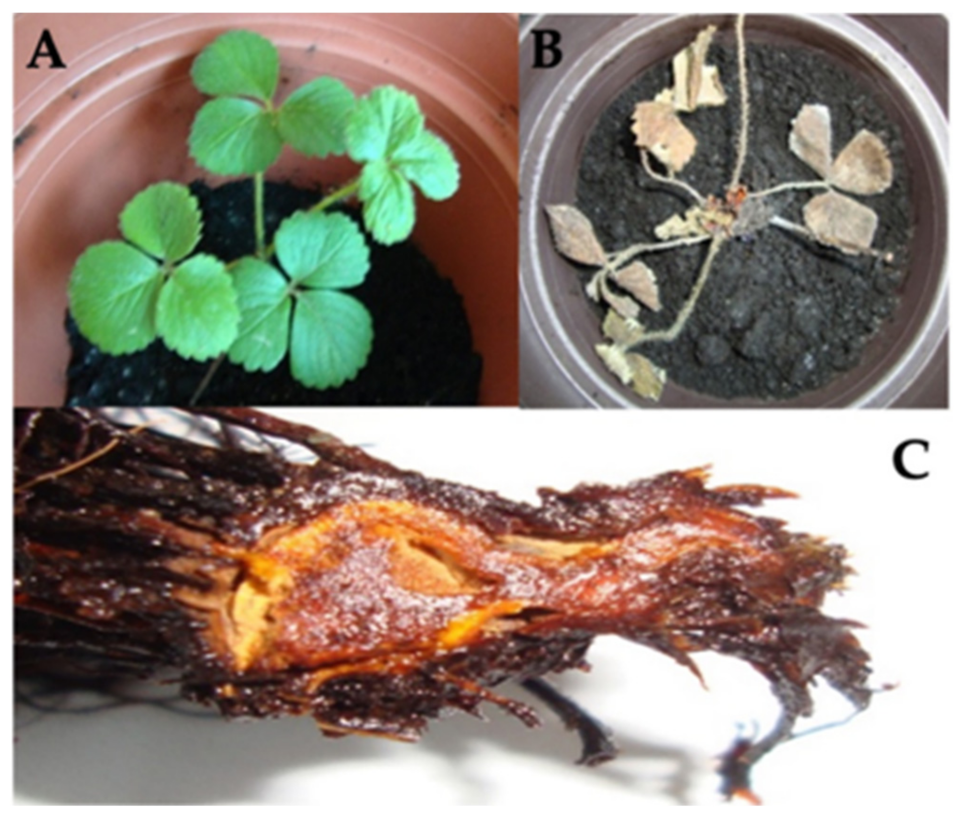 Applsci 12 03213 g003 Applsci 12 03213 g003