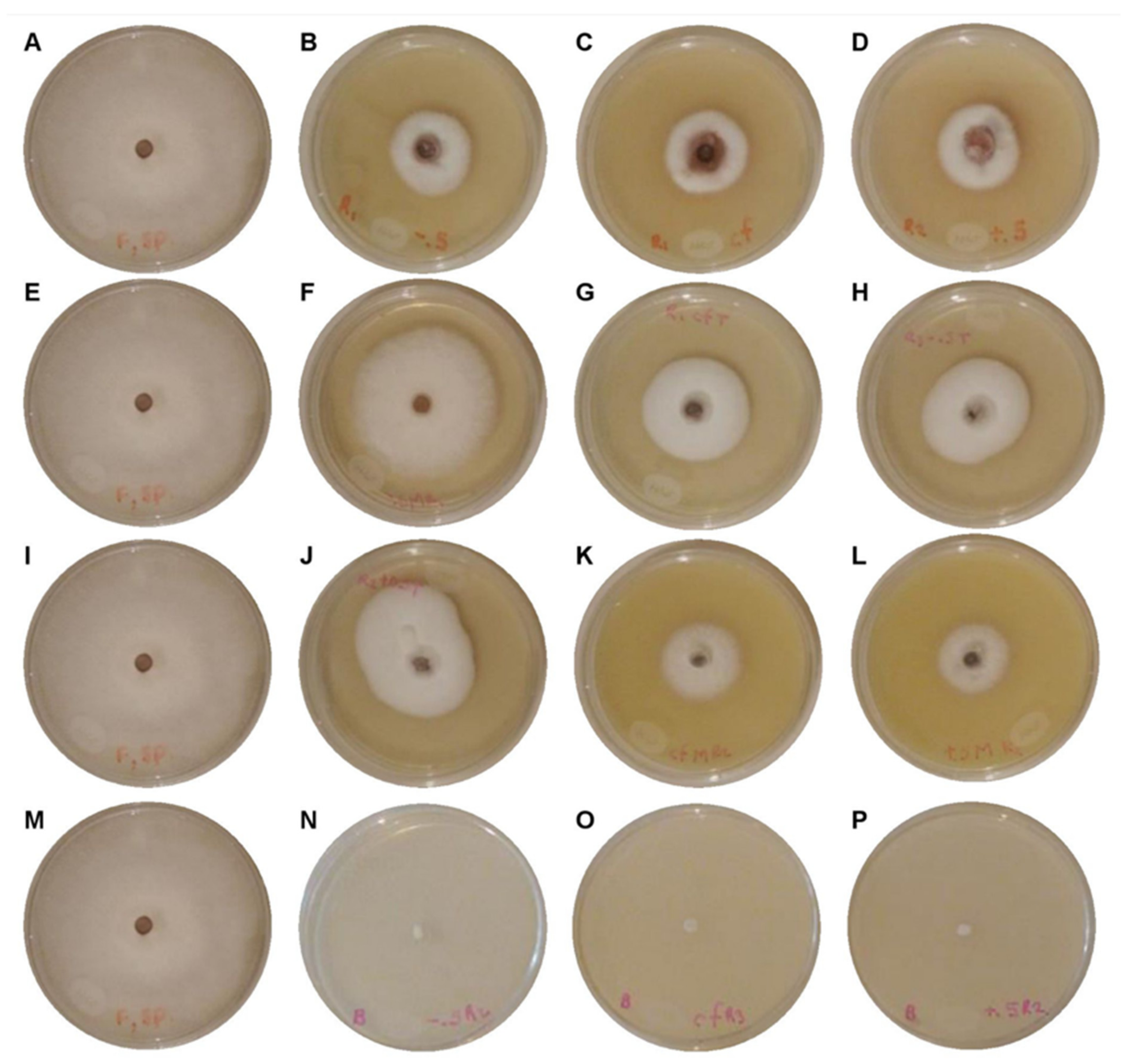 Applsci 12 03213 g004 Applsci 12 03213 g004