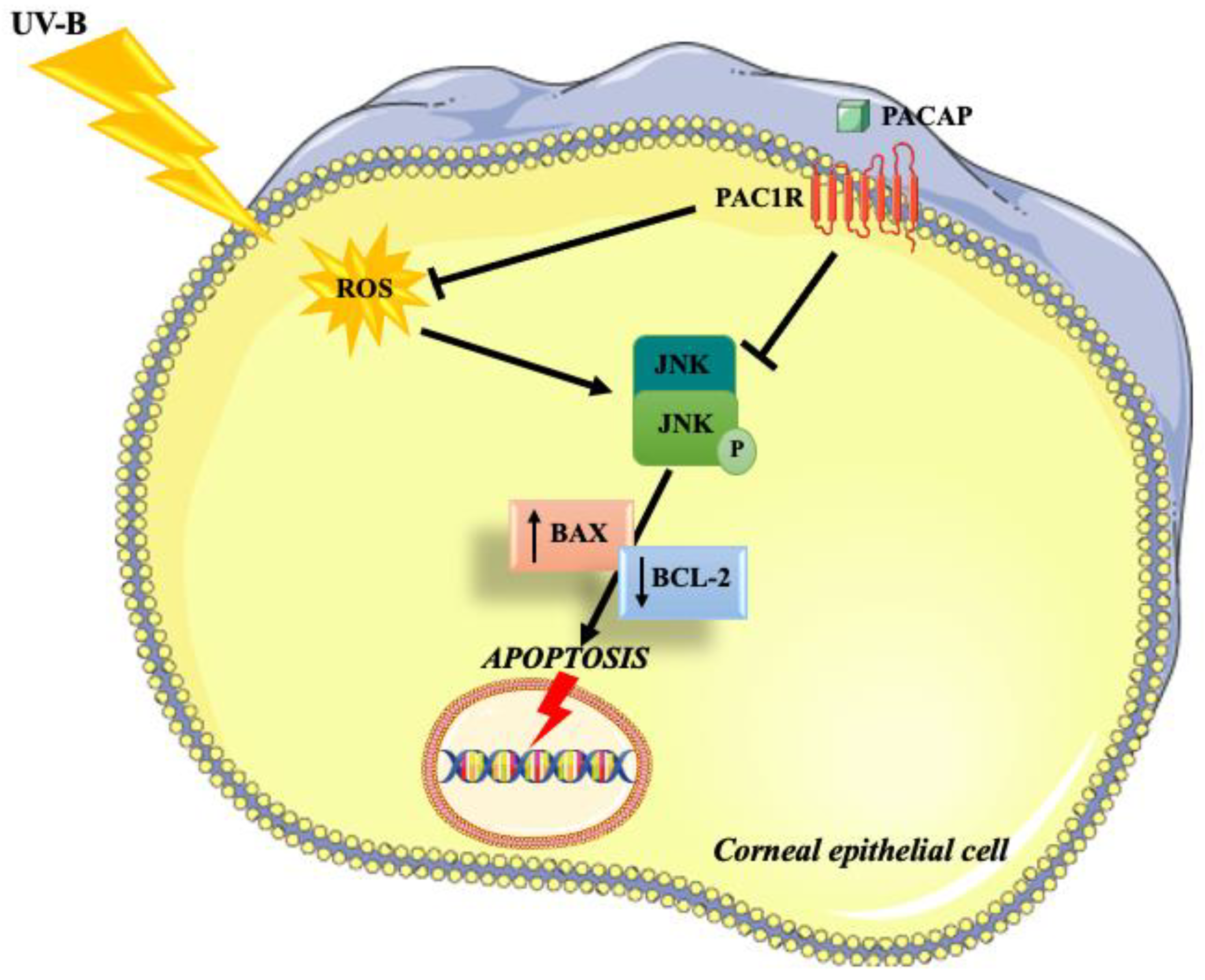 Applsci 12 03435 g007