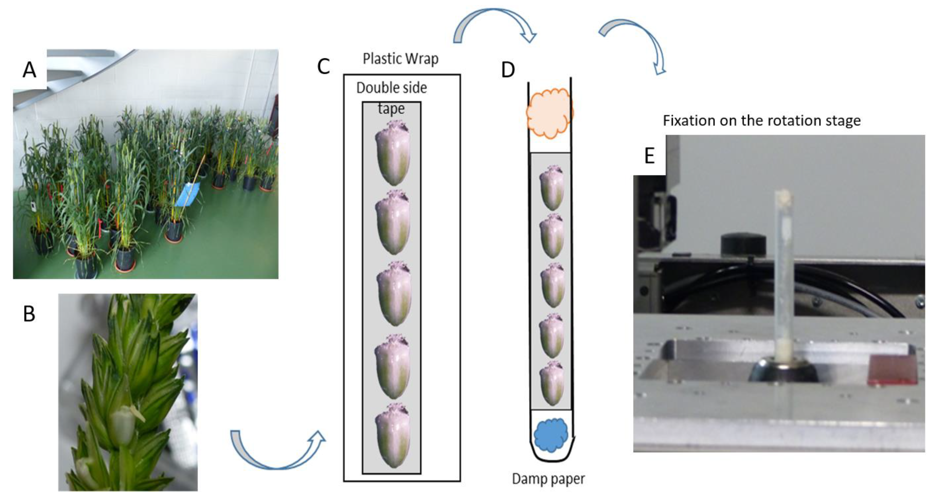 Applsci 12 03454 g001