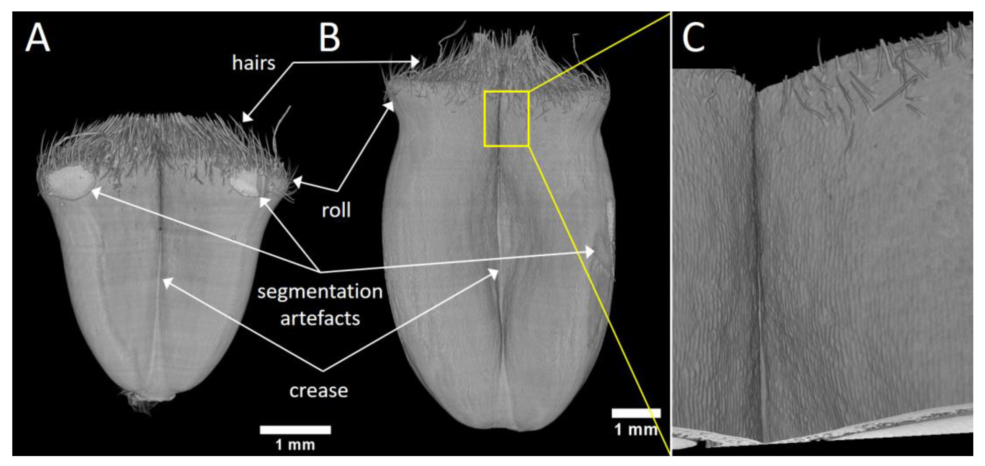 Applsci 12 03454 g003