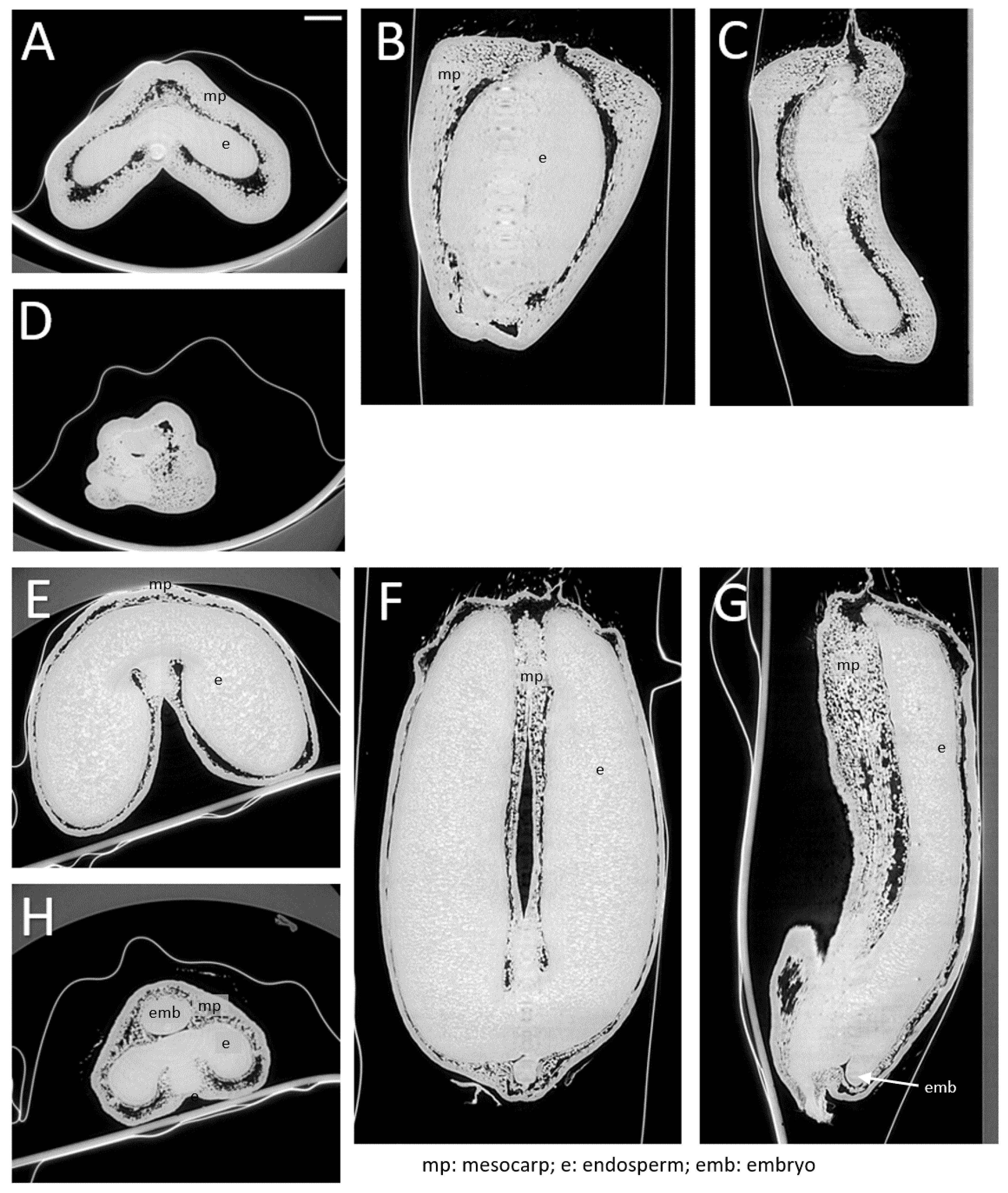Applsci 12 03454 g004