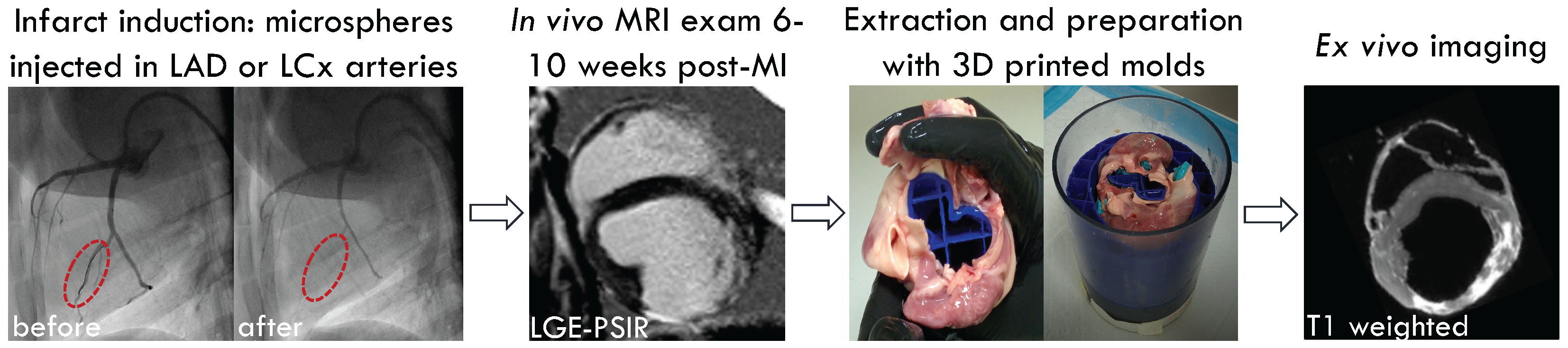 Applsci 12 03512 g001