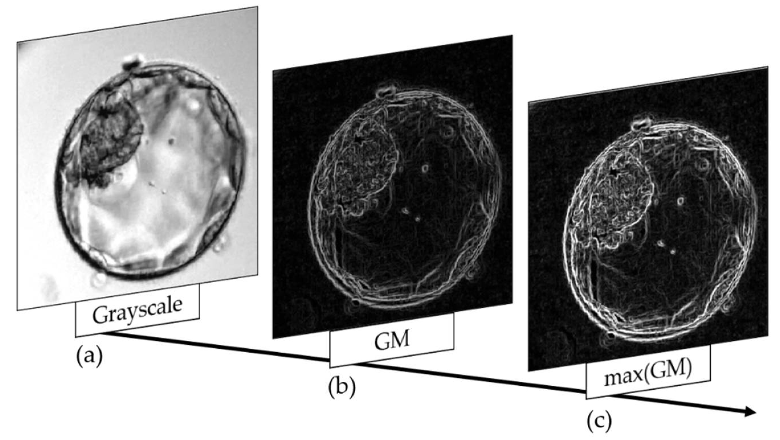 Applsci 12 03531 g009 Applsci 12 03531 g009