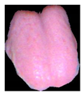 Applsci 12 03552 i001