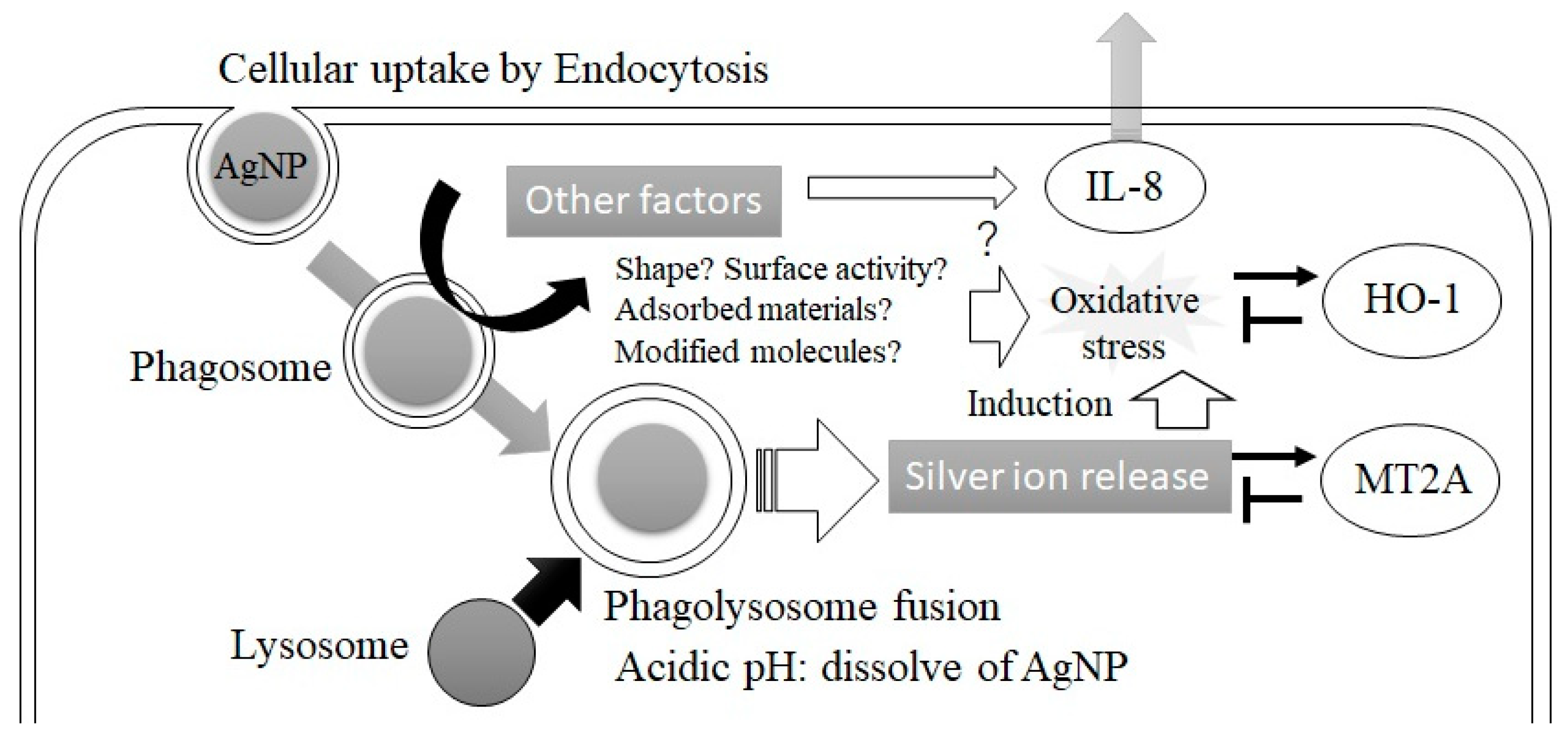 Applsci 12 03554 g006