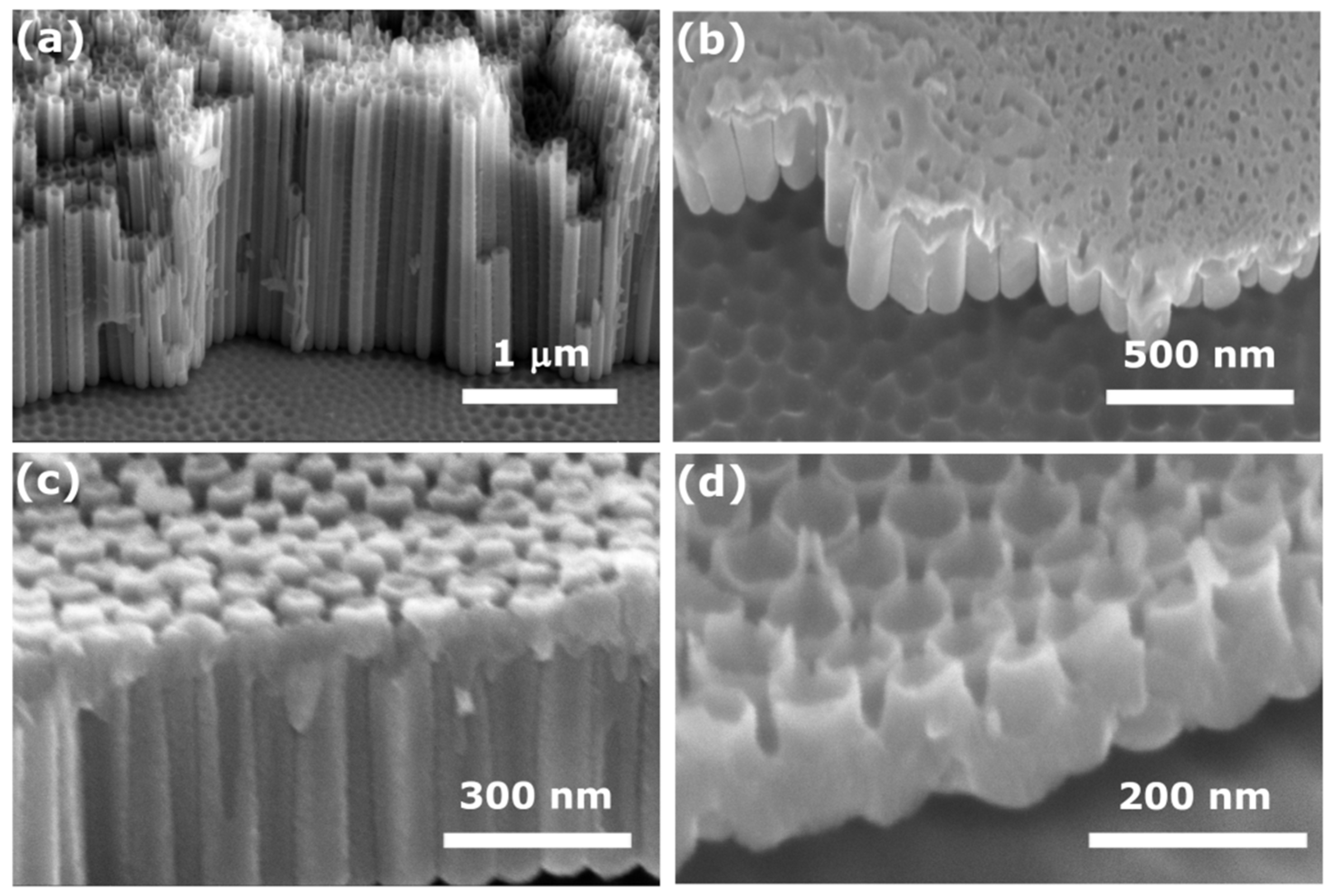 Applsci 12 03690 g001