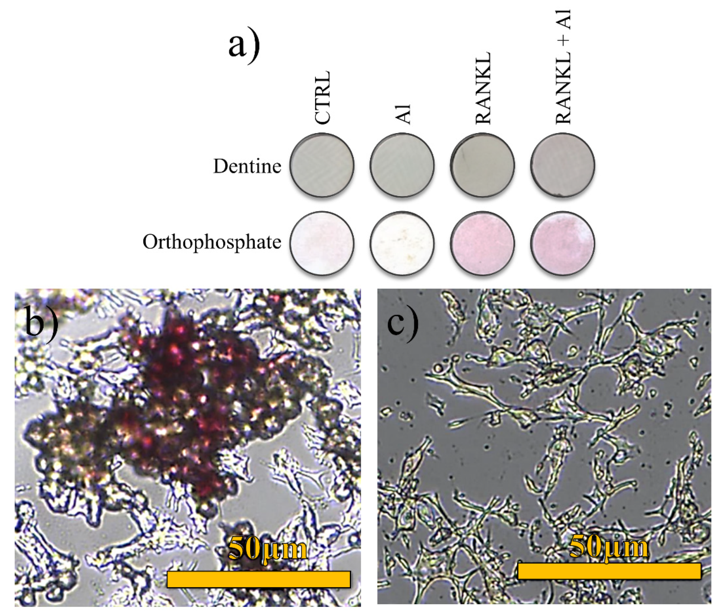 Applsci 12 03757 g002