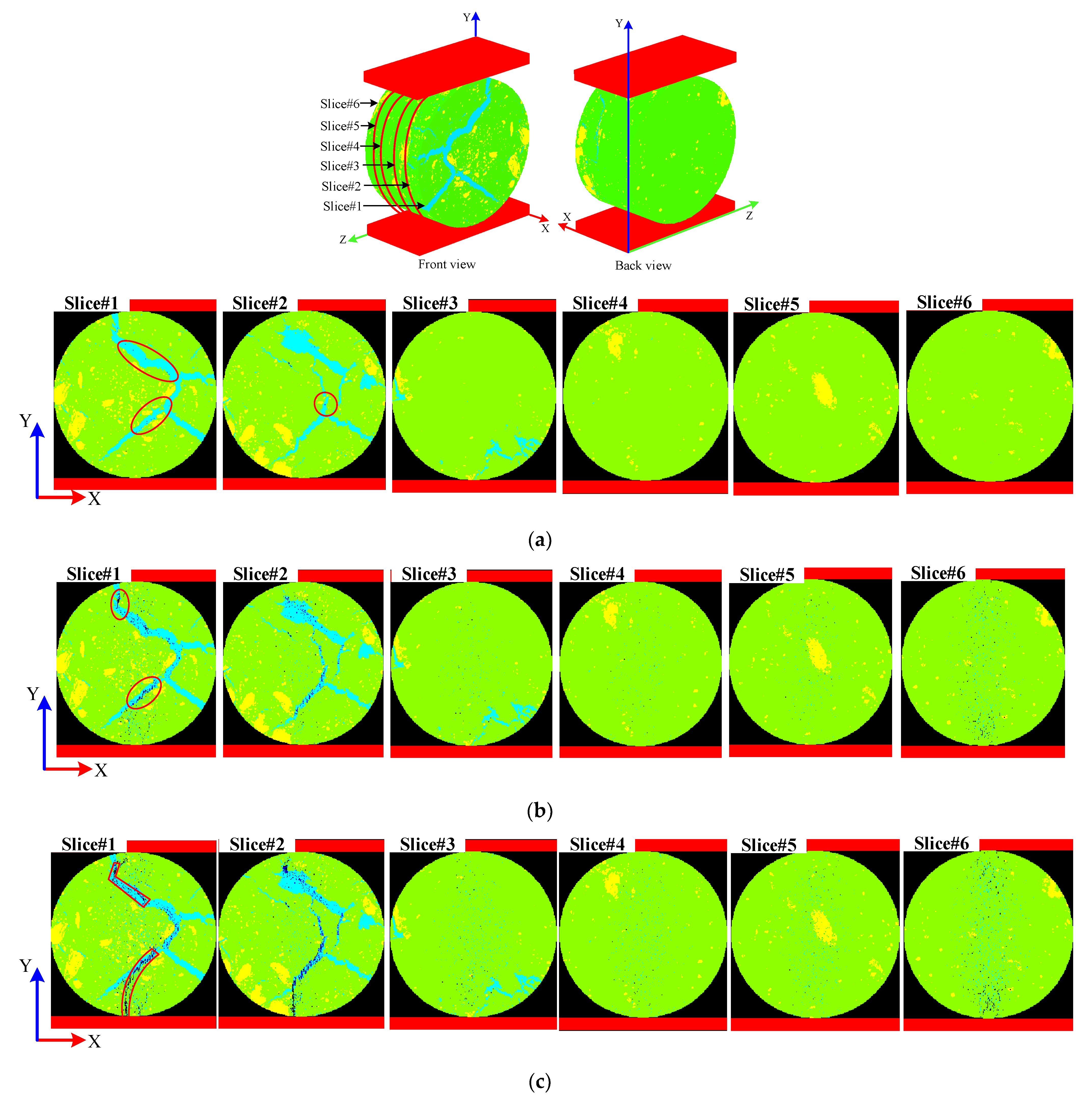 Evolution at different scales: micro to macro