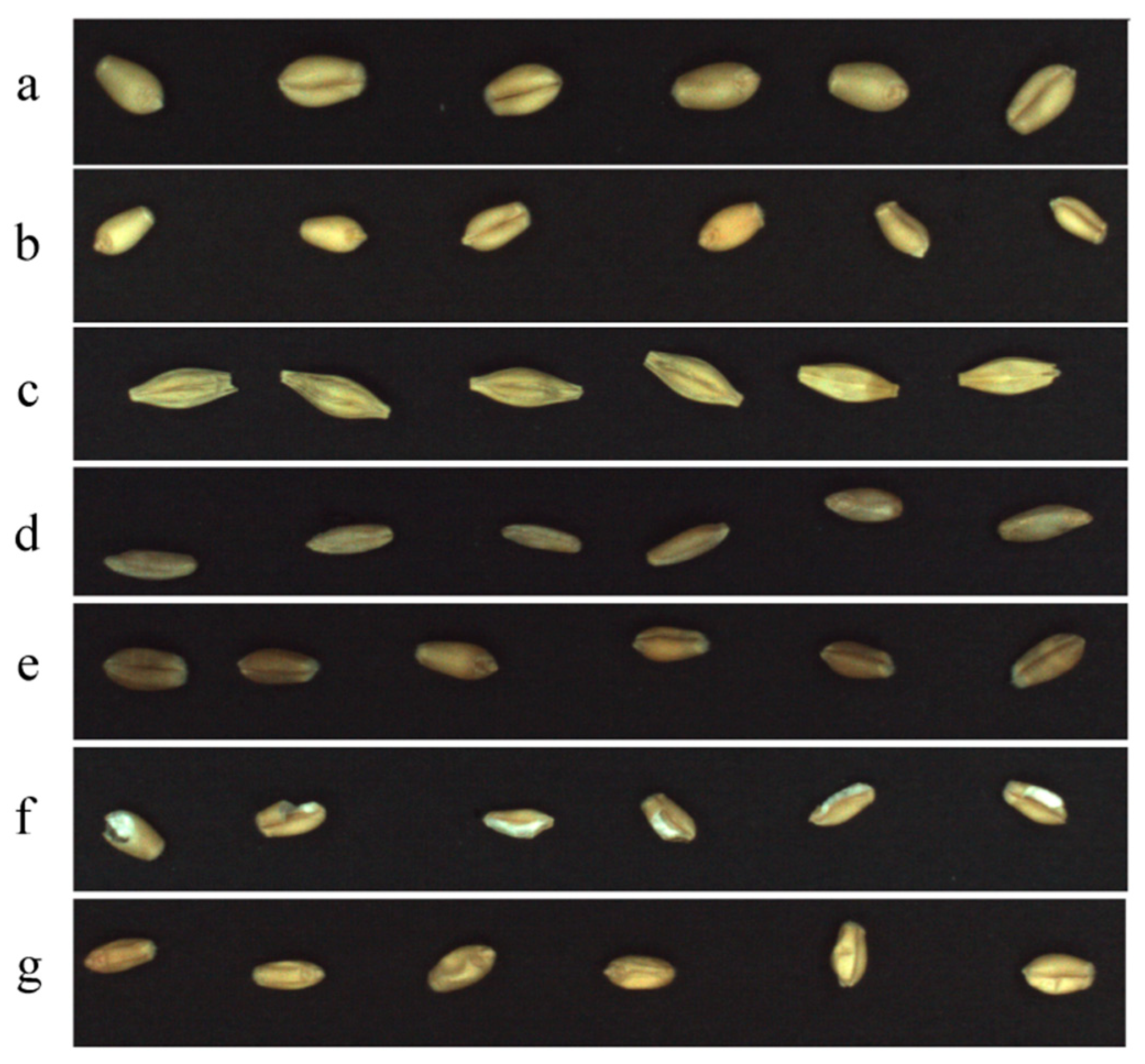 Applsci 12 04133 g001