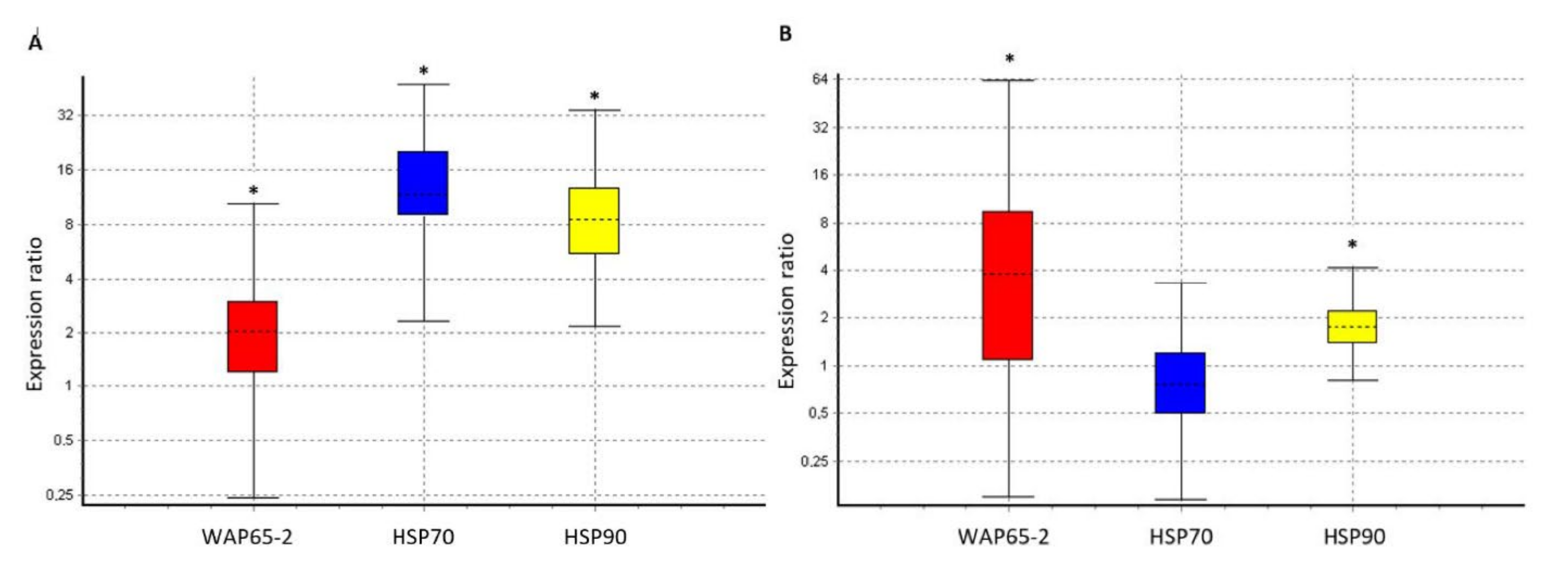 Applsci 12 04201 g002 Applsci 12 04201 g002