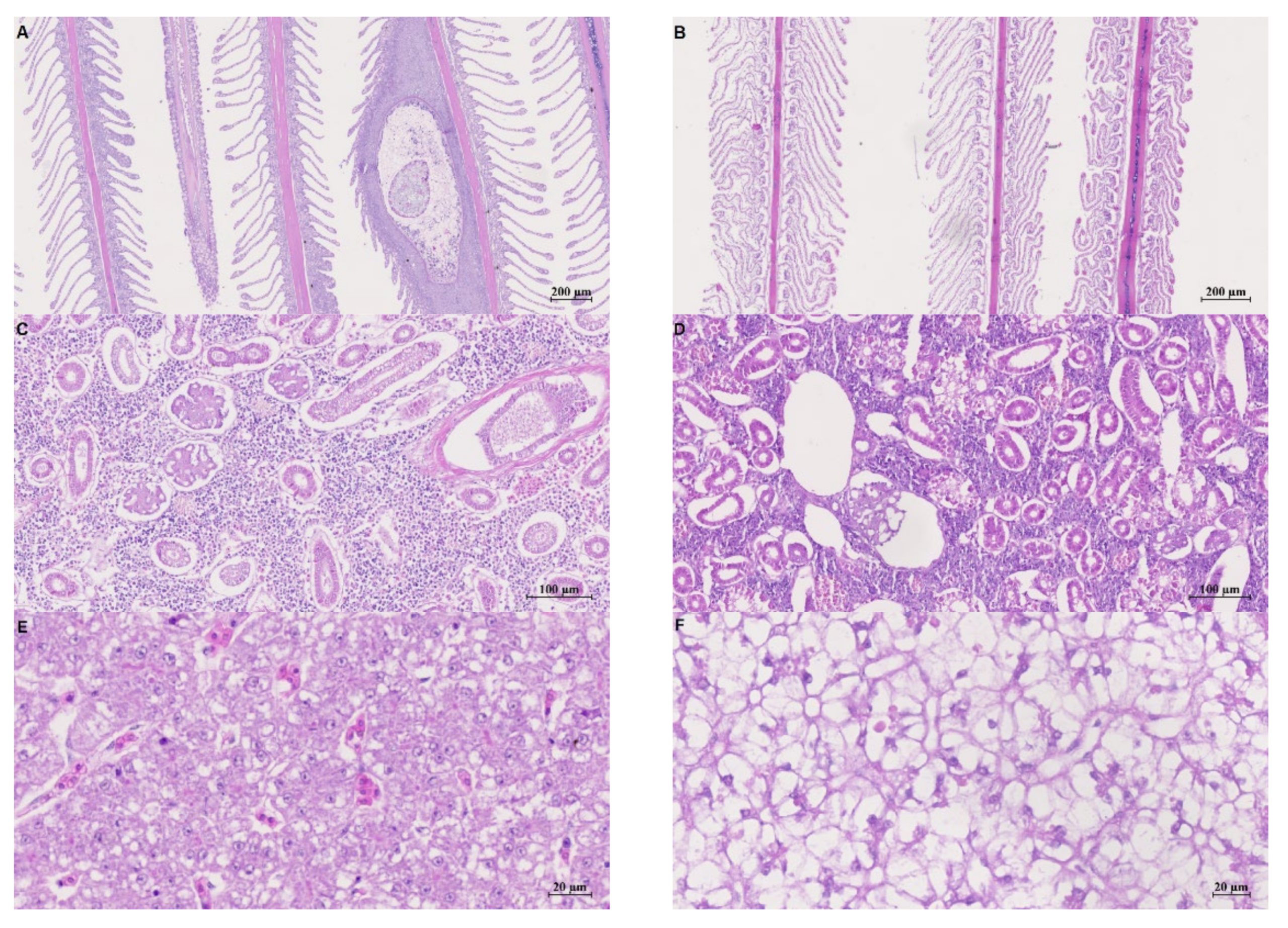 Applsci 12 04201 g003a Applsci 12 04201 g003a