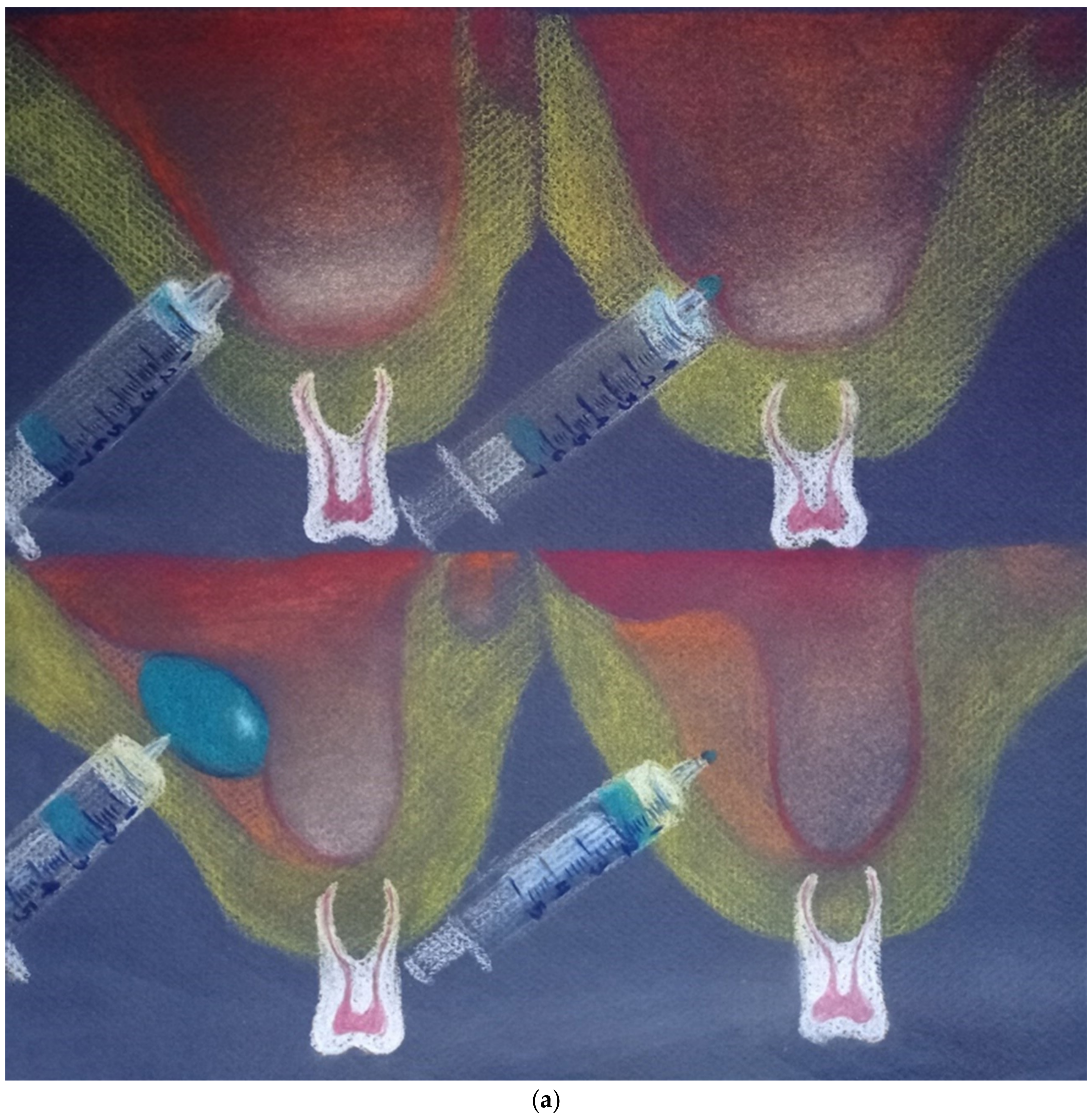 Applsci 12 04406 g001a Applsci 12 04406 g001a