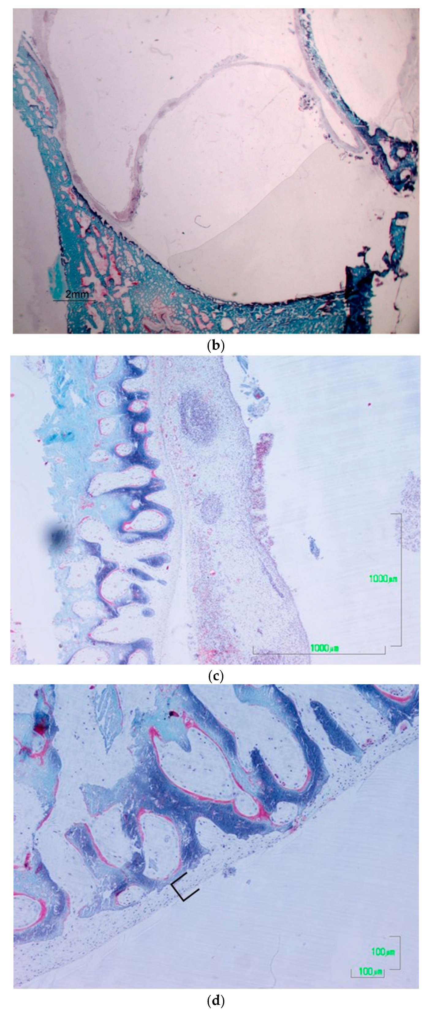 Applsci 12 04406 g002b Applsci 12 04406 g002b