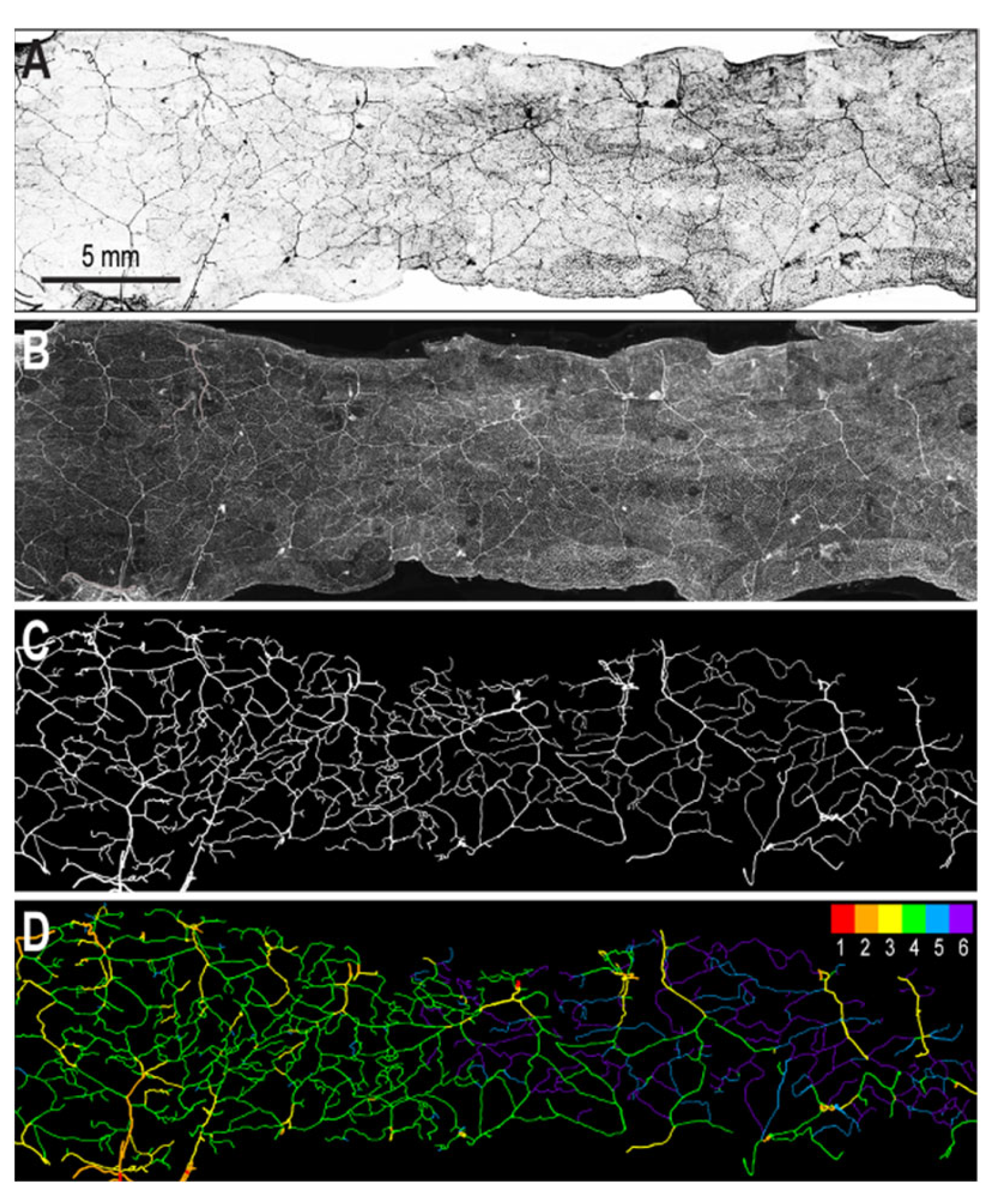 Applsci 12 04430 g003