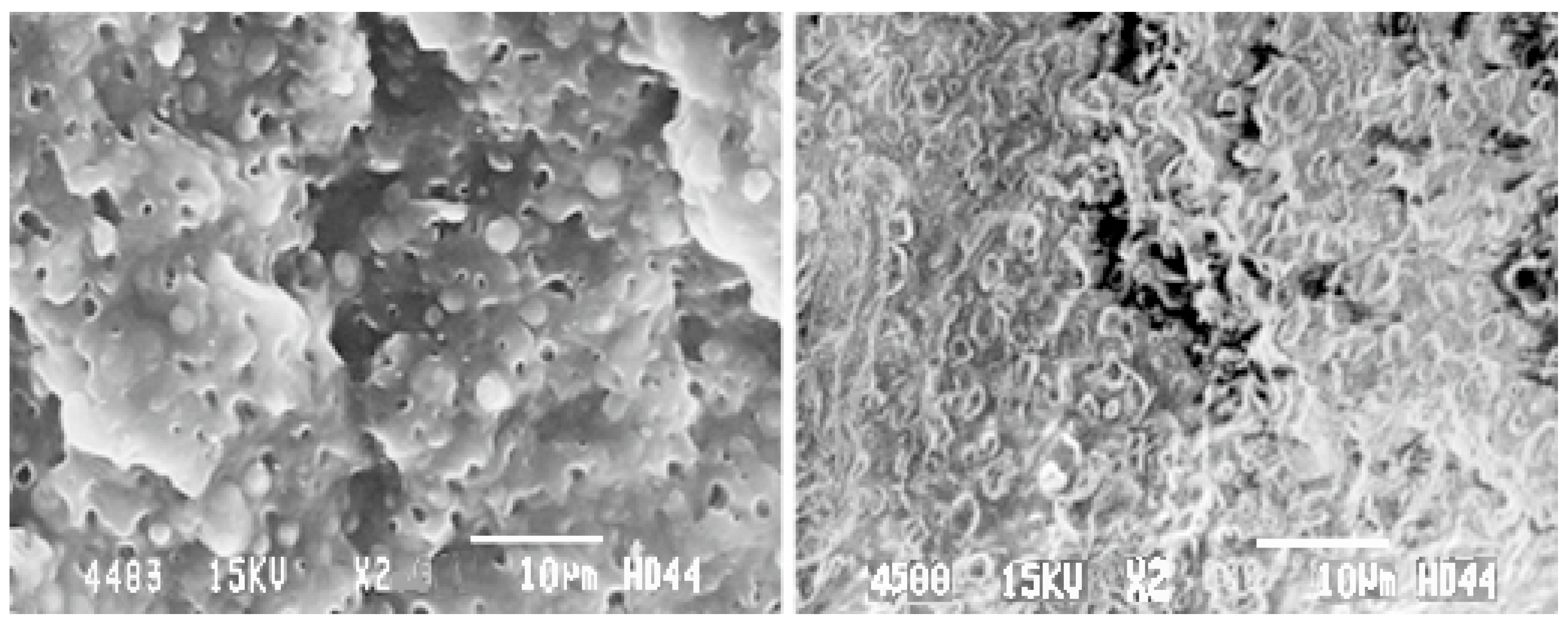 Applsci 12 04497 g009