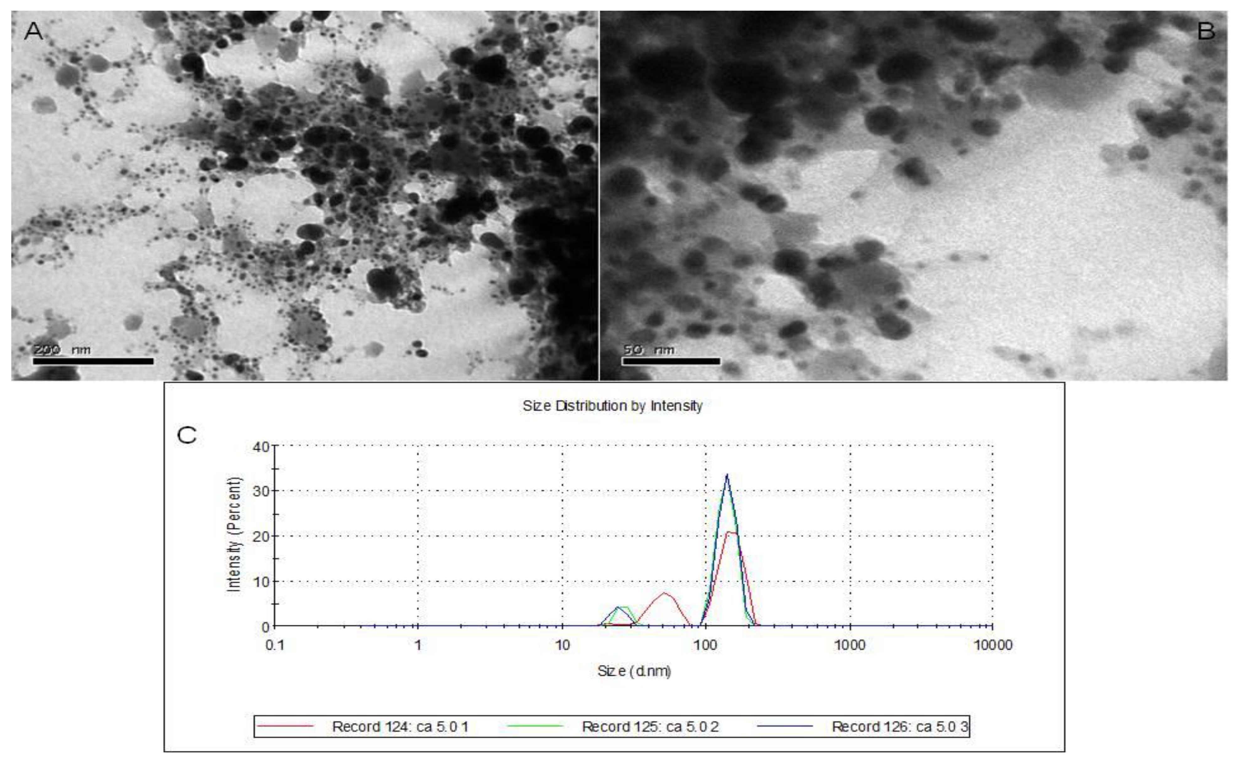 Applsci 12 04537 g004