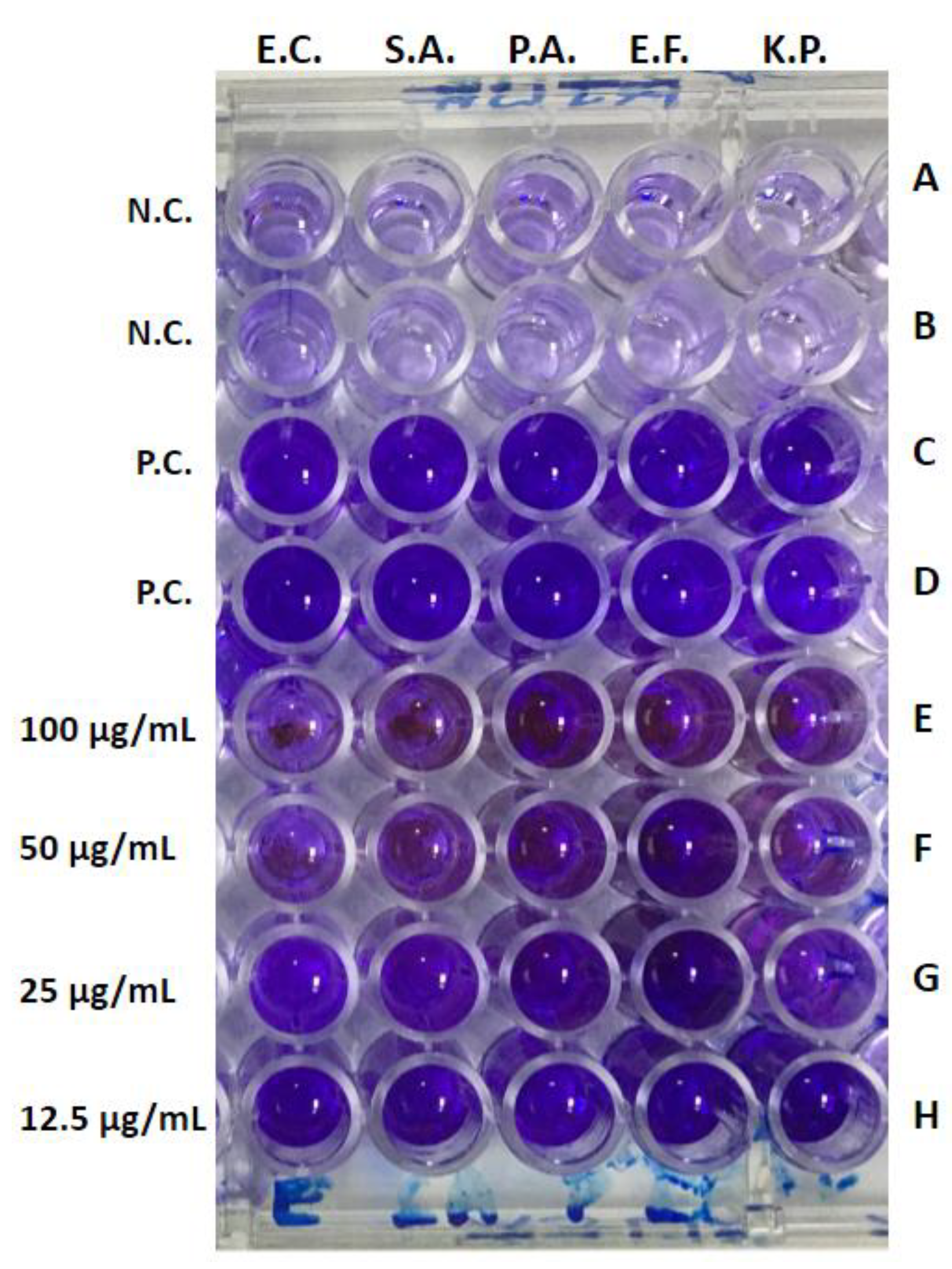 Applsci 12 04537 g007