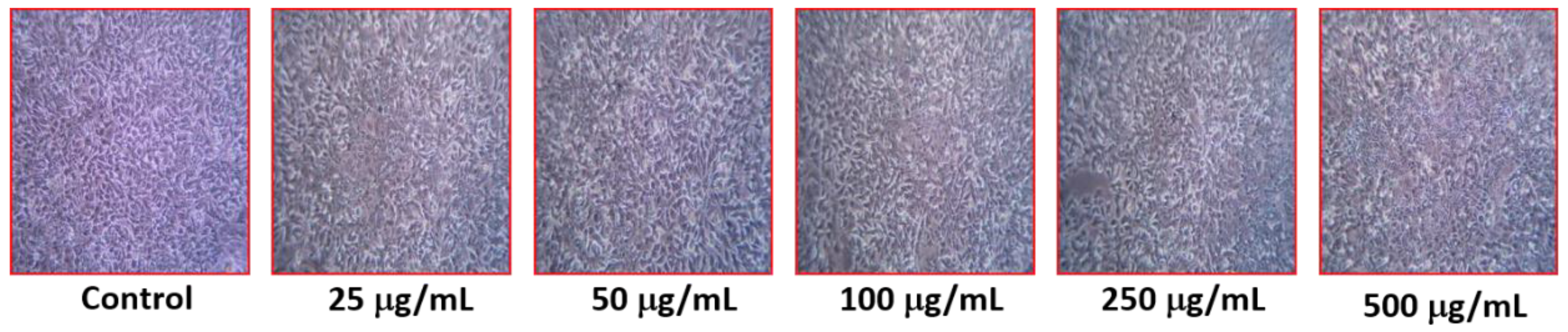 Applsci 12 04537 g009