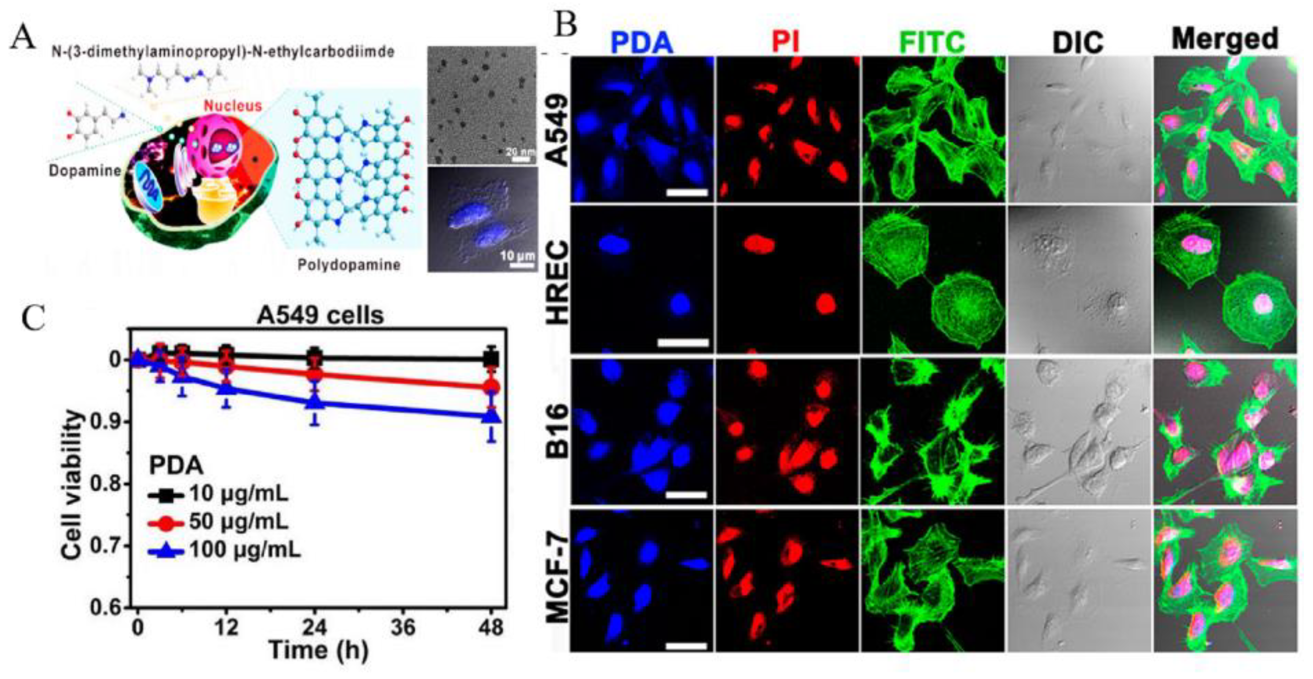 Applsci 12 04560 g005