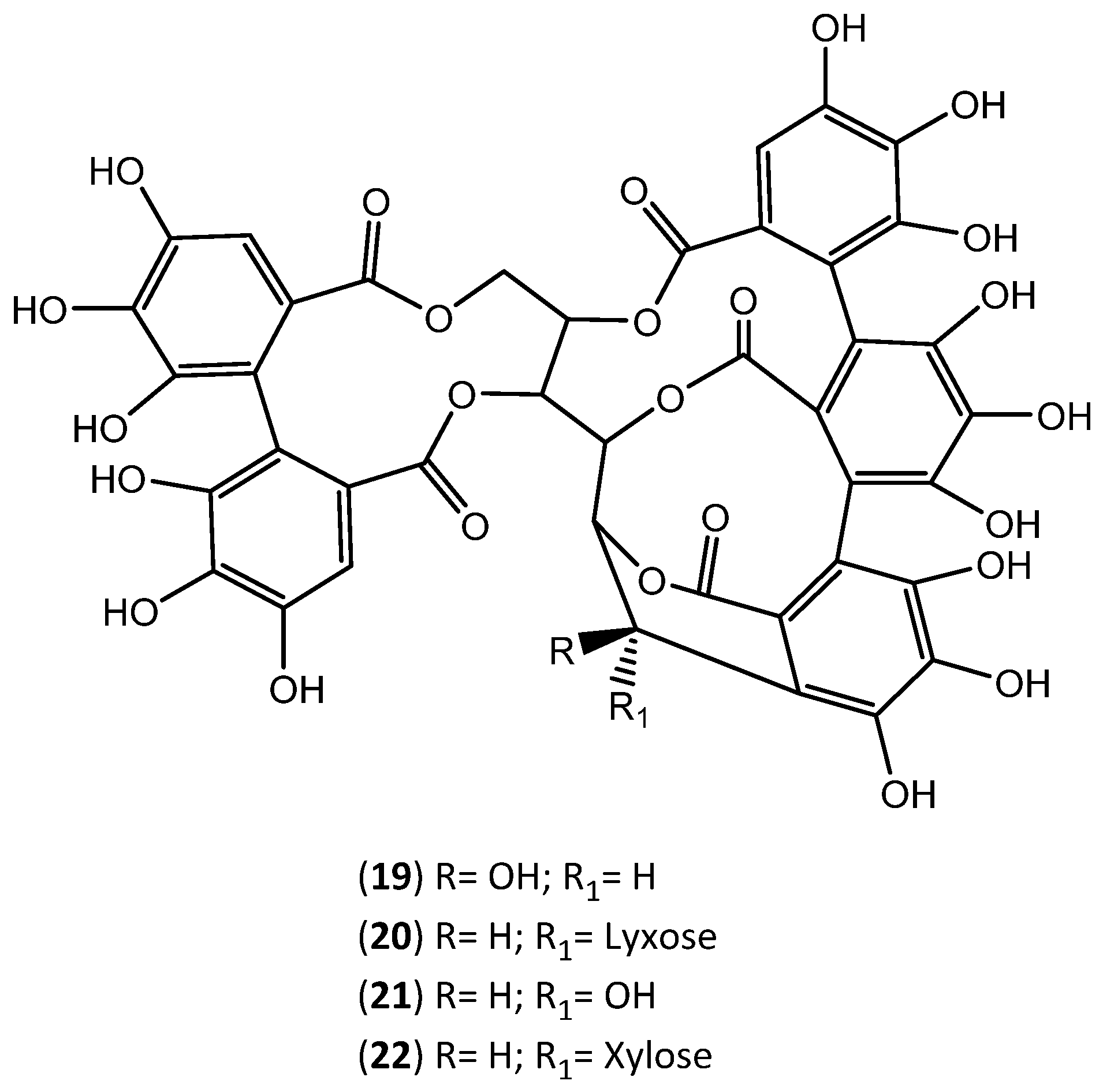 Applsci 12 04604 g004 Applsci 12 04604 g004