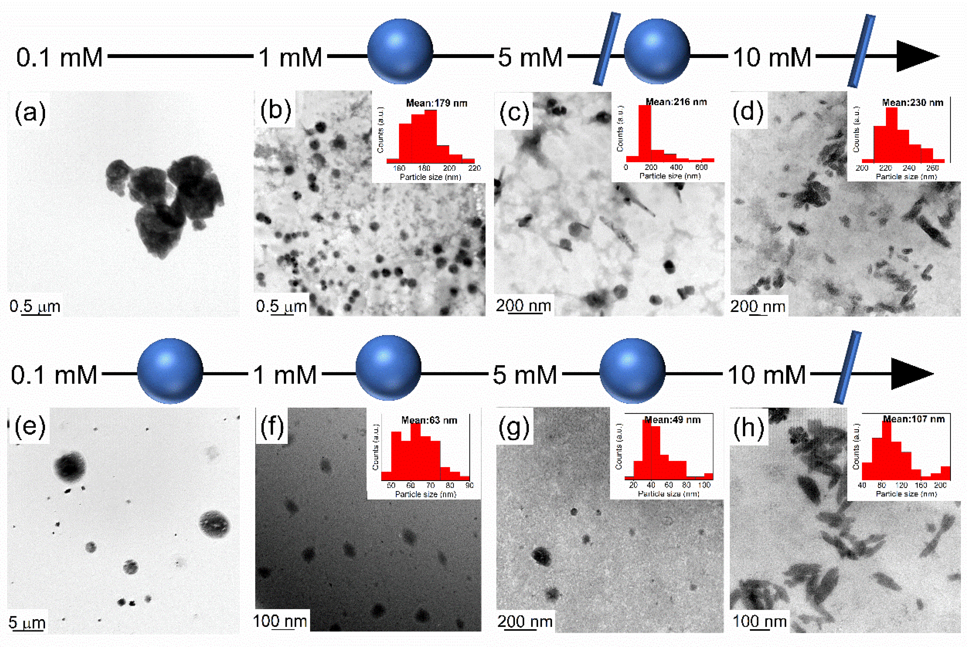 Applsci 12 04742 g006 Applsci 12 04742 g006