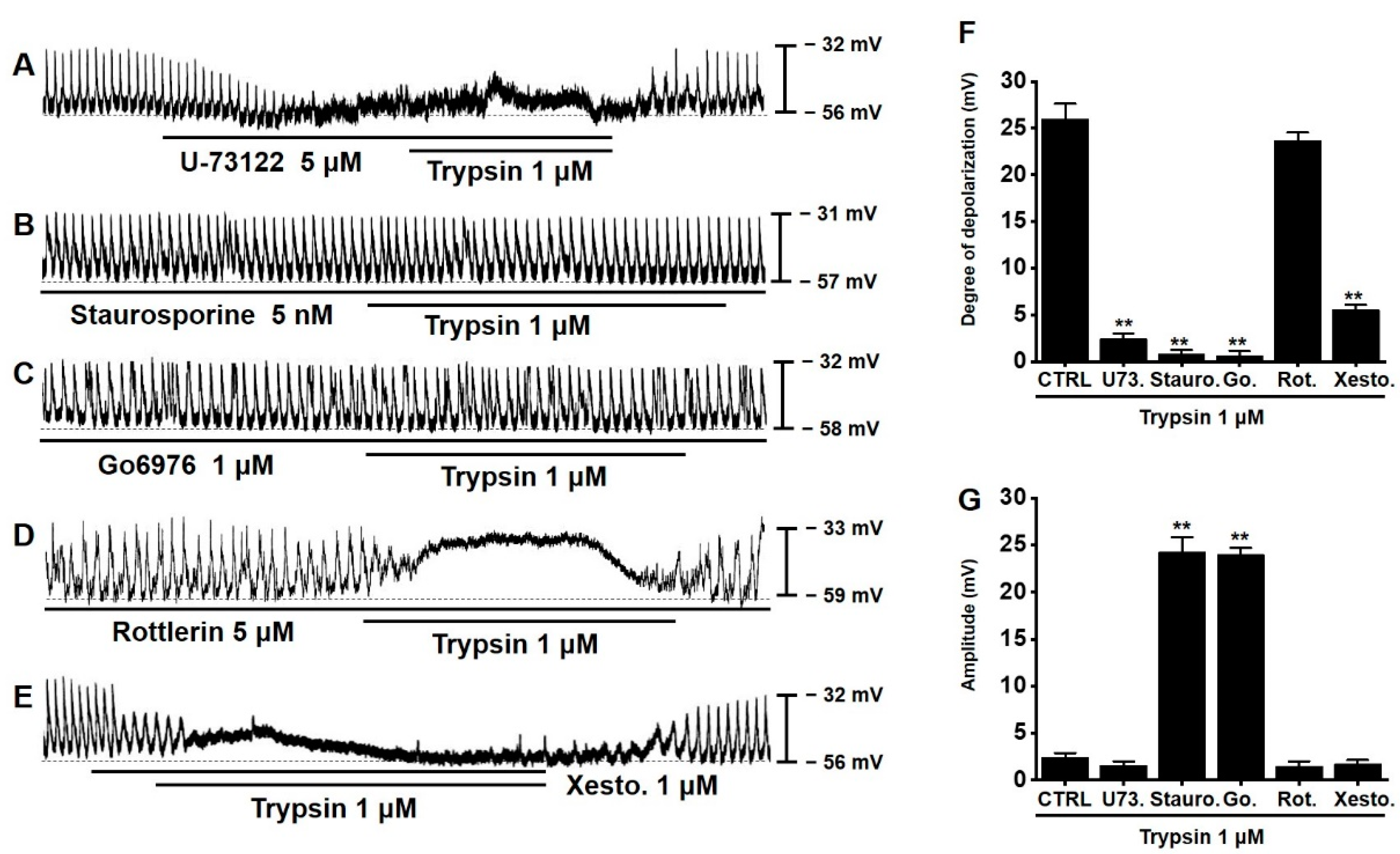 Applsci 12 04755 g006