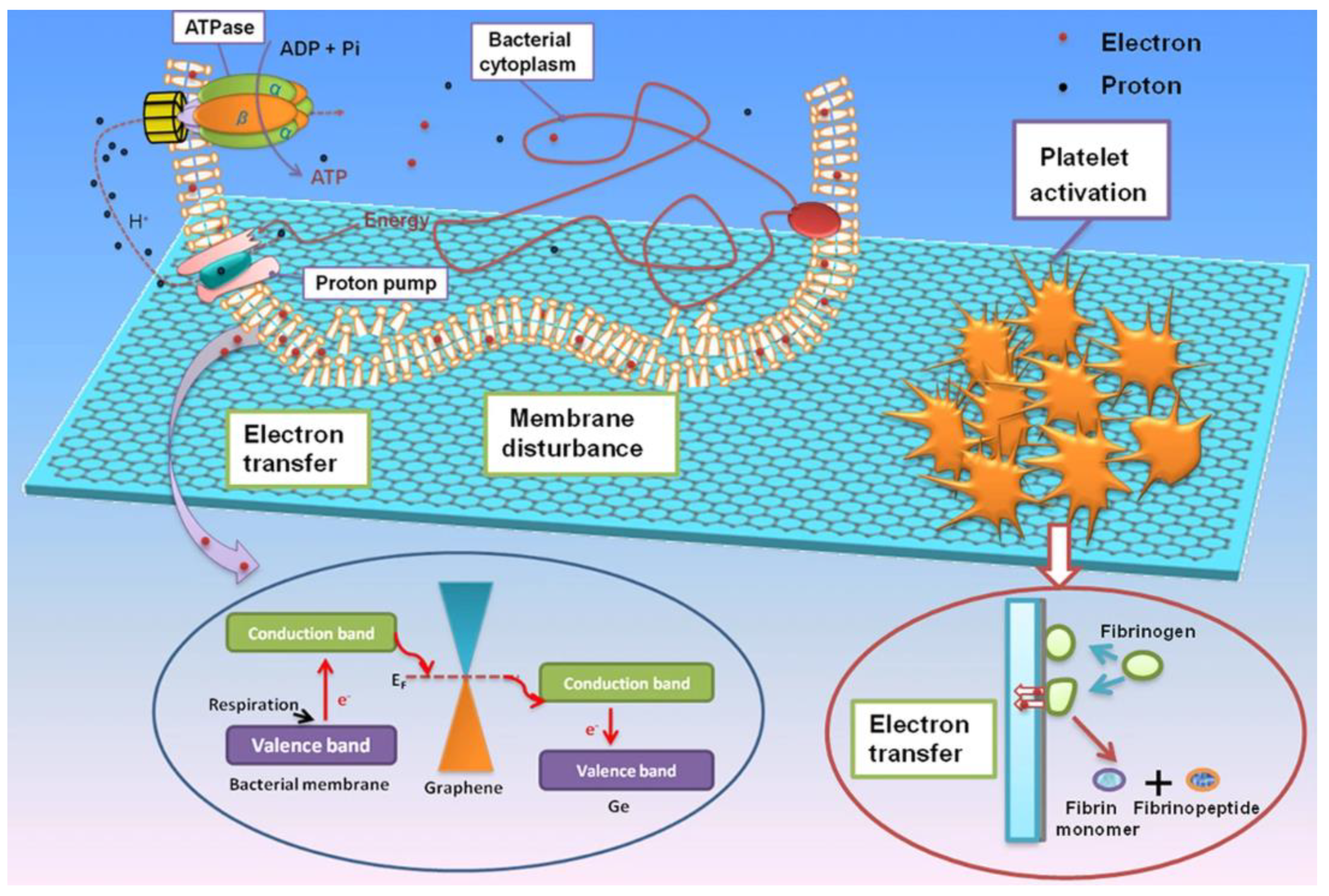 Applsci 12 04834 g004