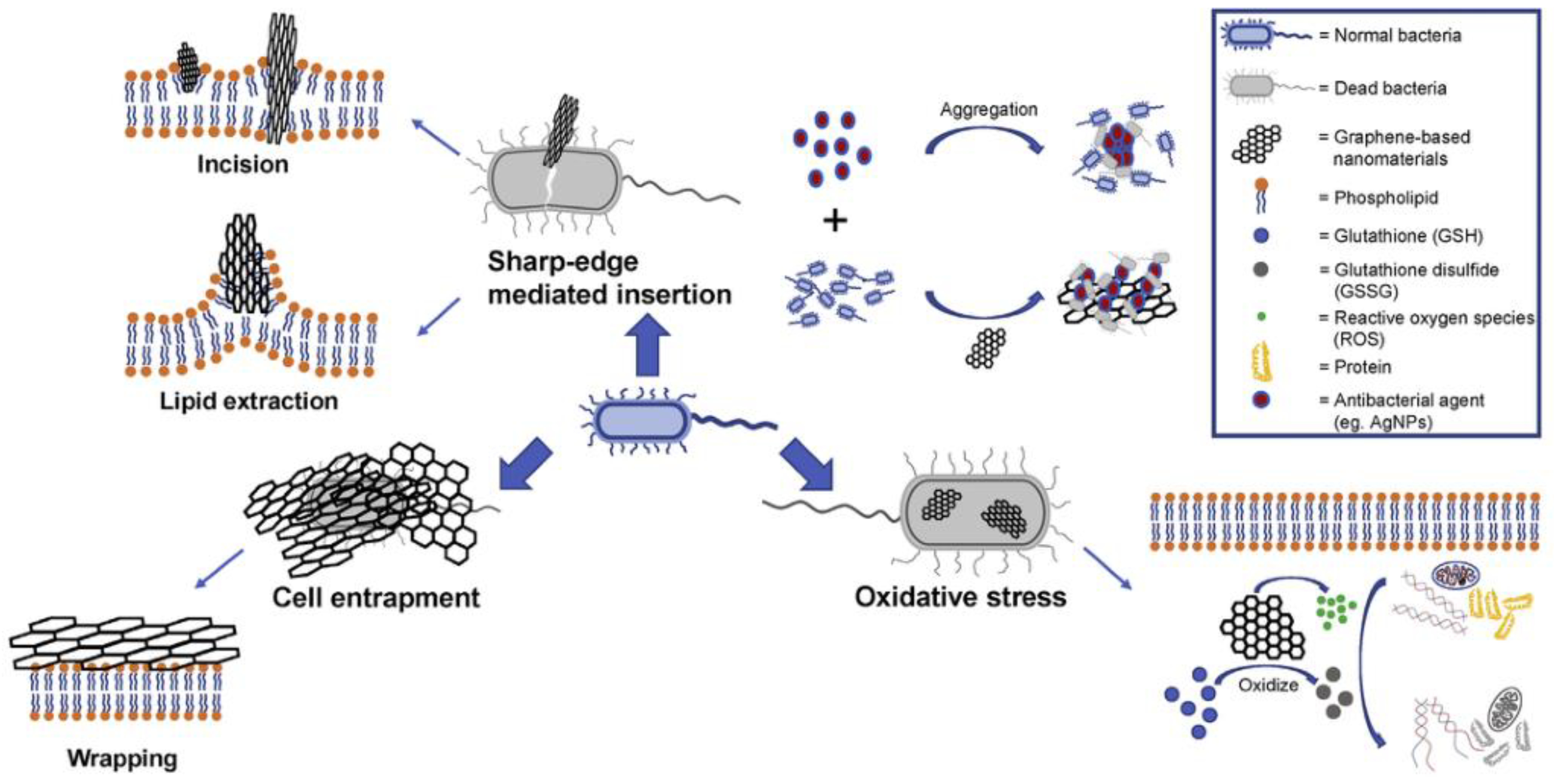 Applsci 12 04834 g005