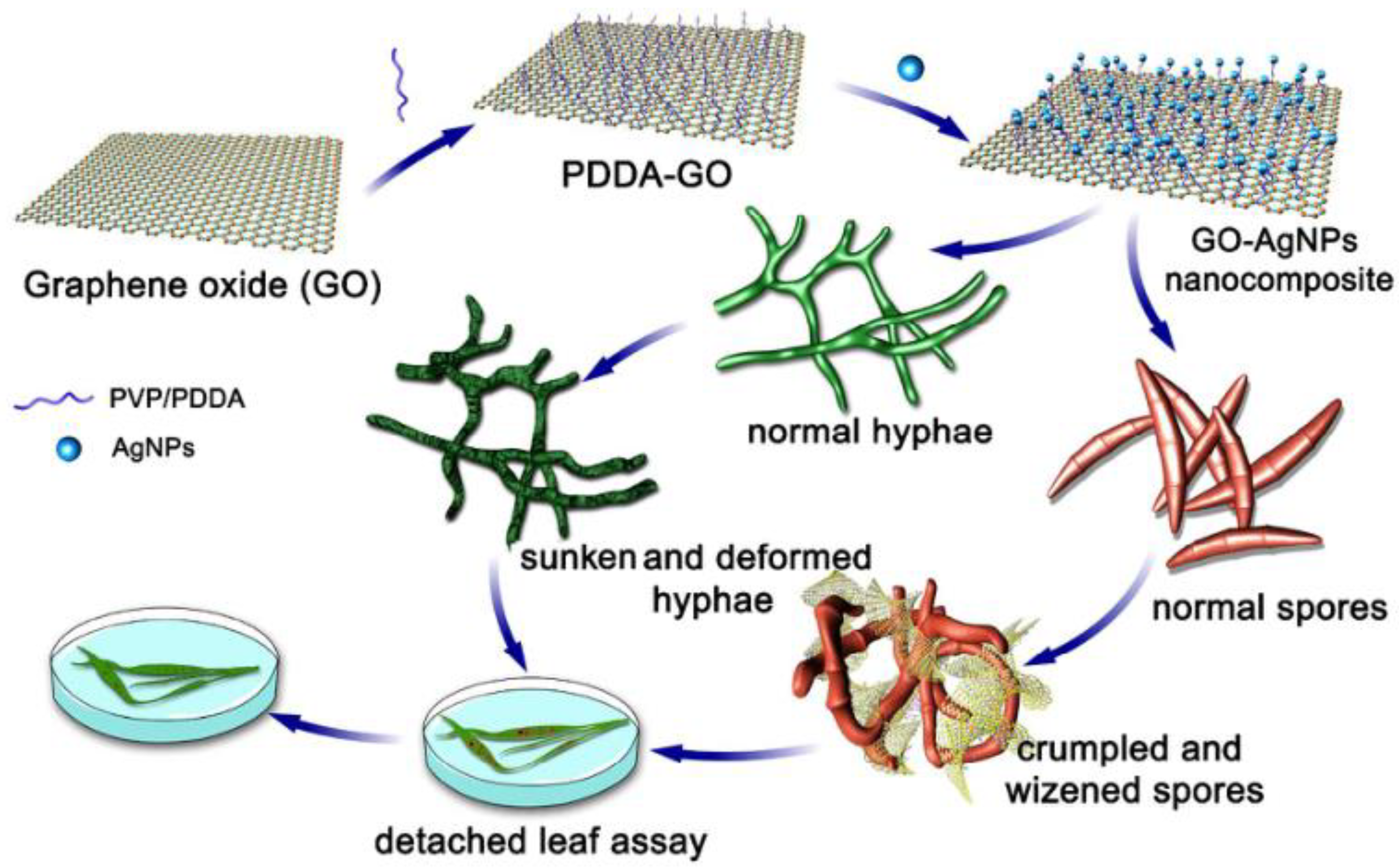 Applsci 12 04834 g008