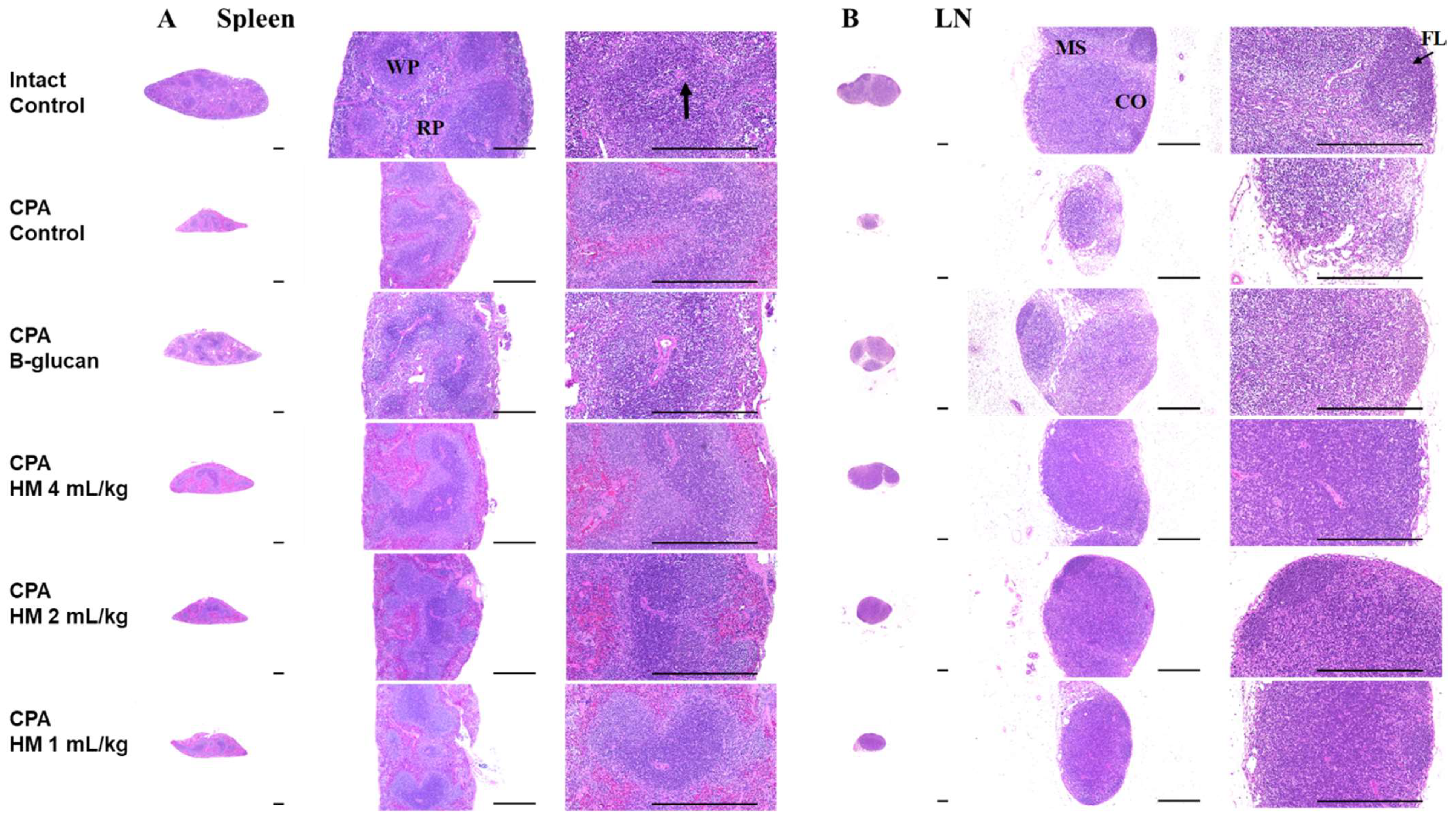Applsci 12 04935 g003