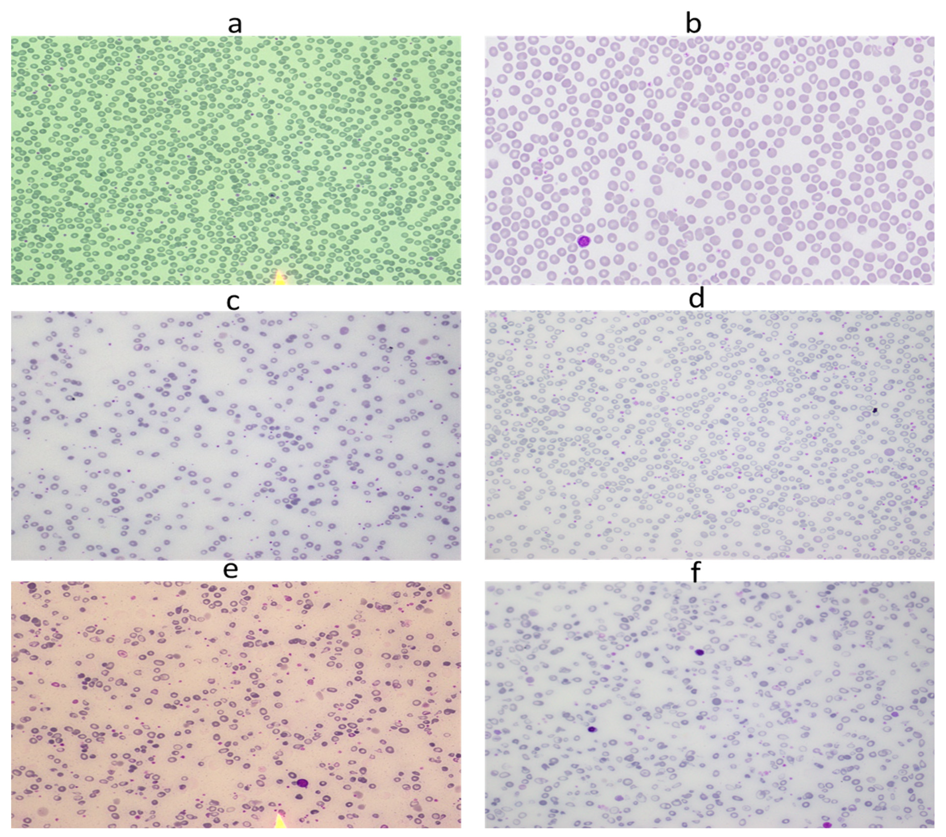 Applsci 12 05030 g003 Applsci 12 05030 g003