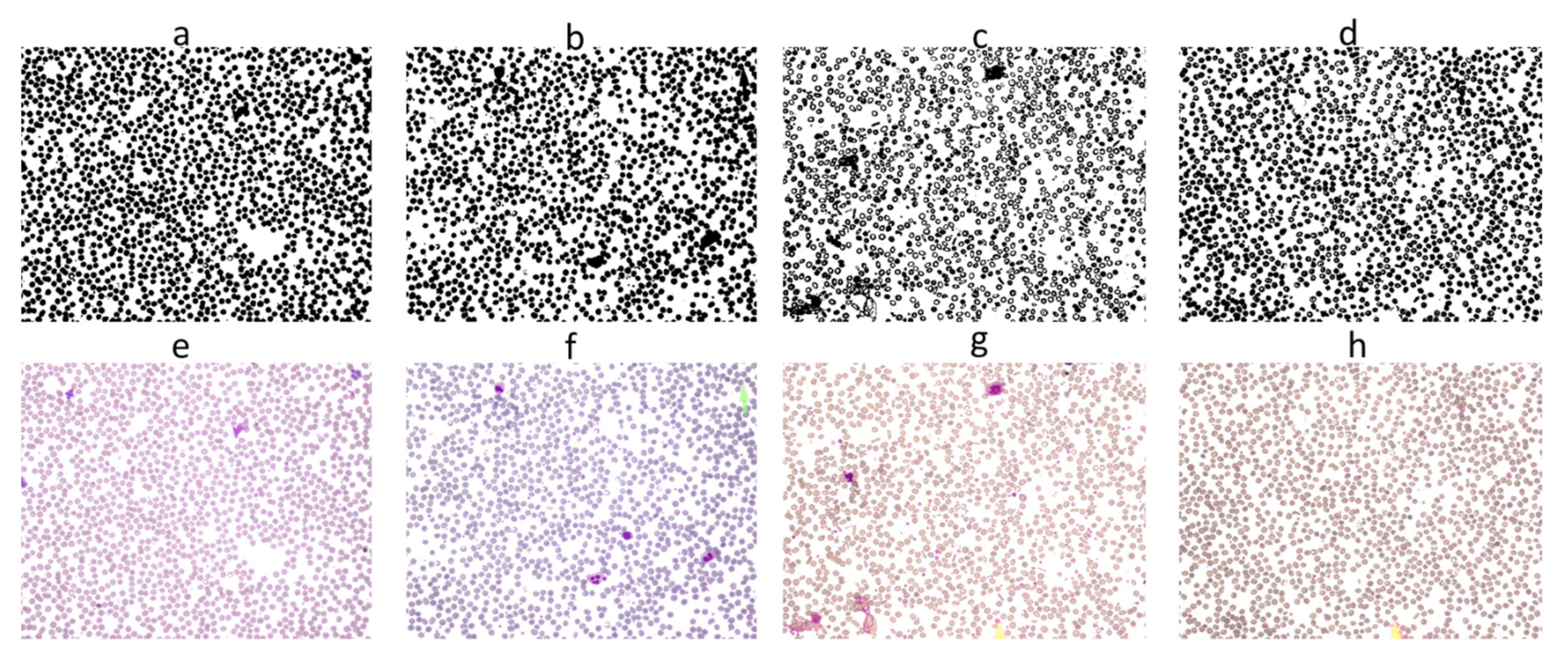 Applsci 12 05030 g004 Applsci 12 05030 g004