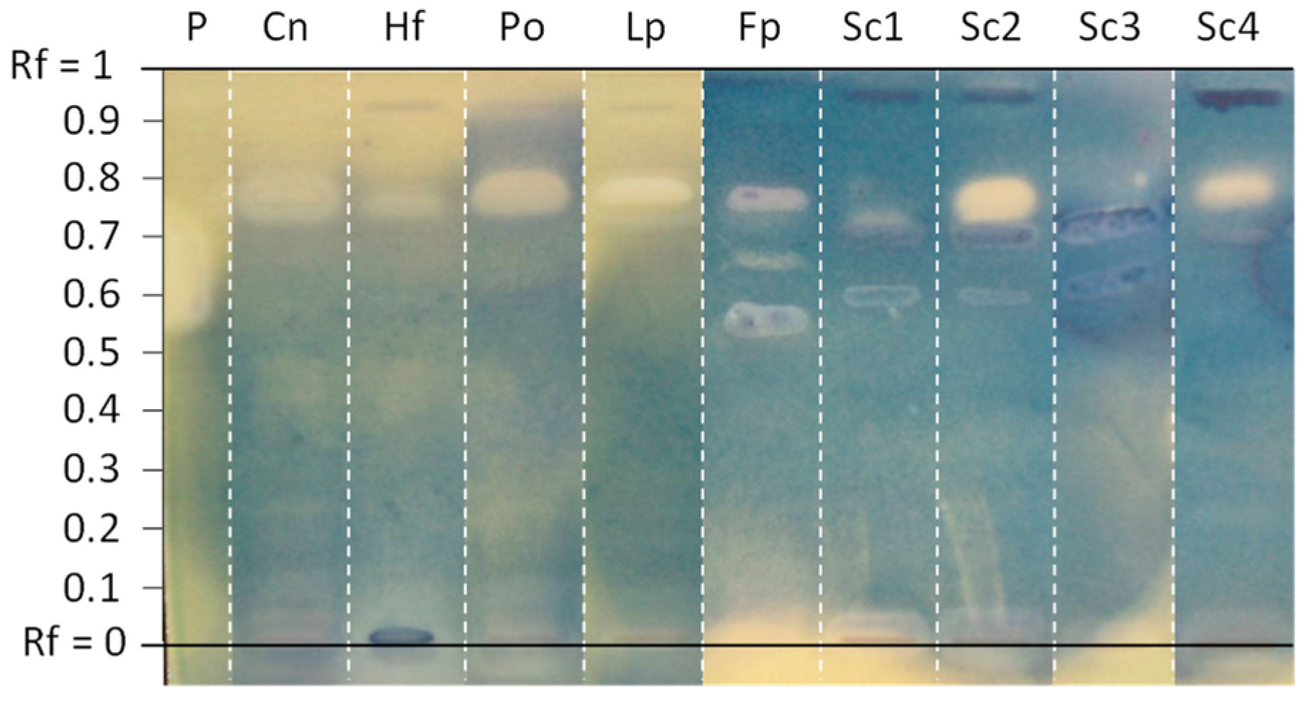 Applsci 12 05229 g005