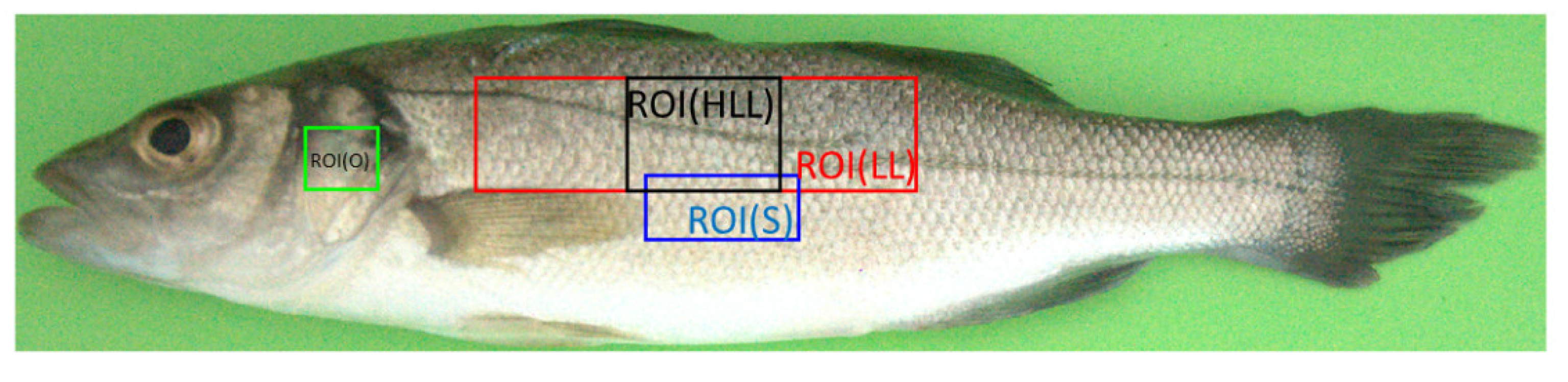 Applsci 12 05401 g005