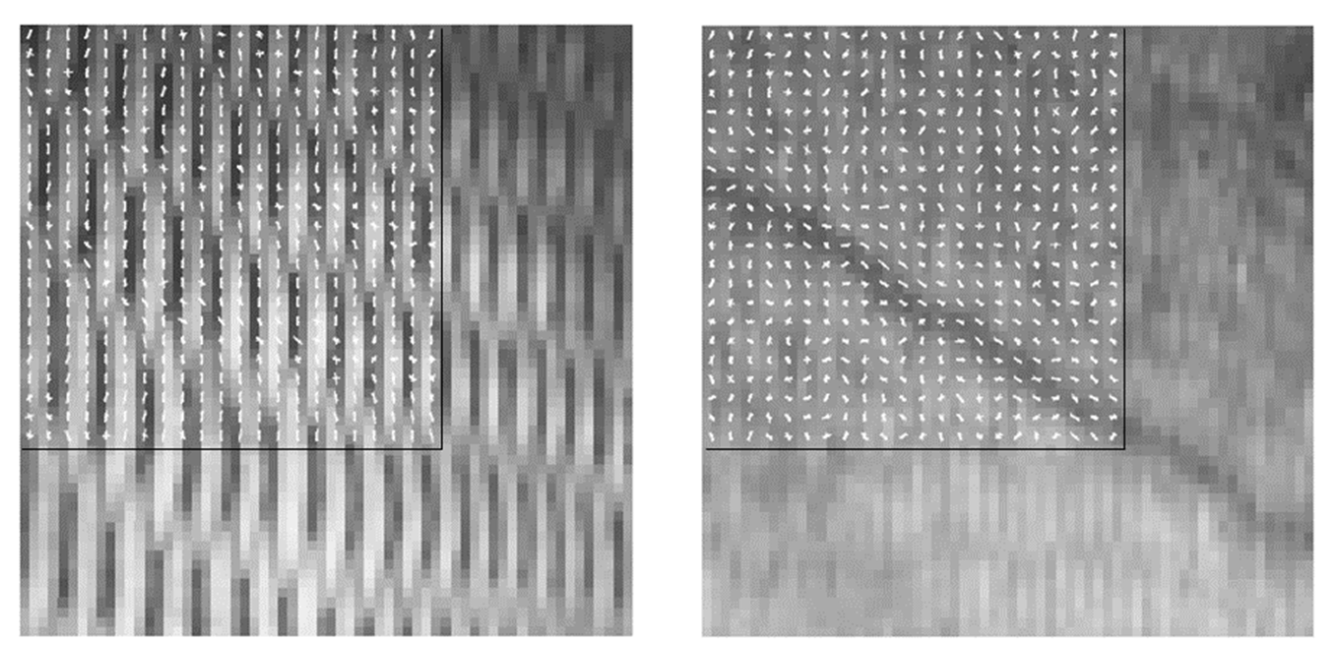 Applsci 12 05401 g007