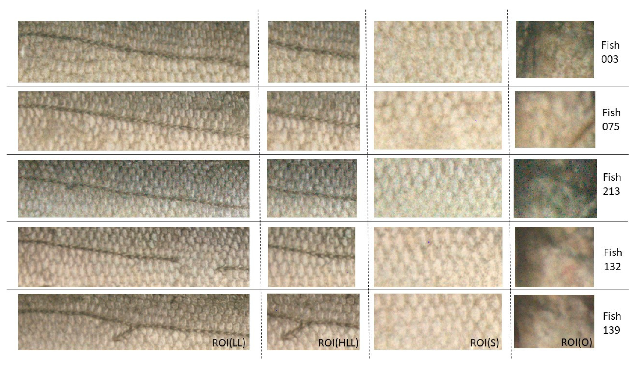 Applsci 12 05401 g008