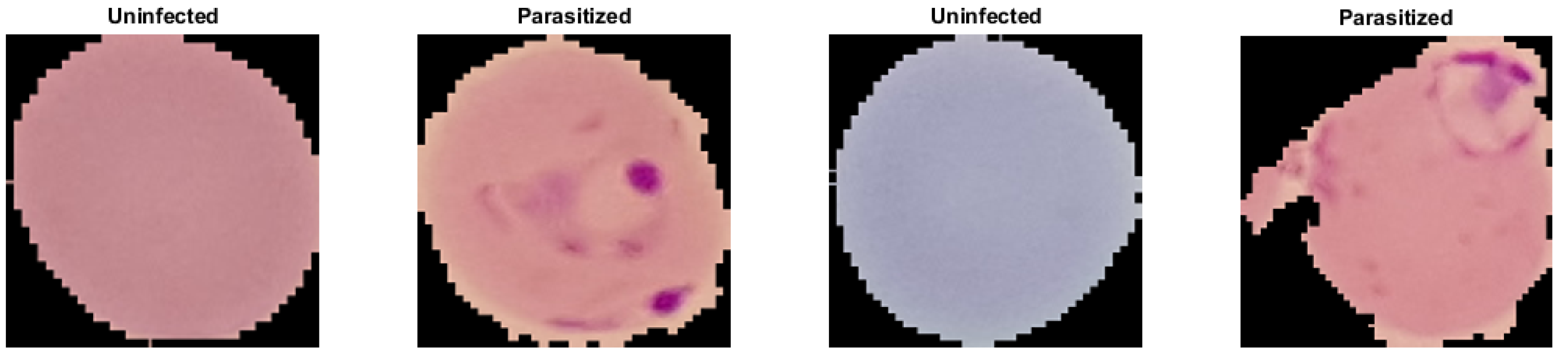 Applsci 12 05500 g001