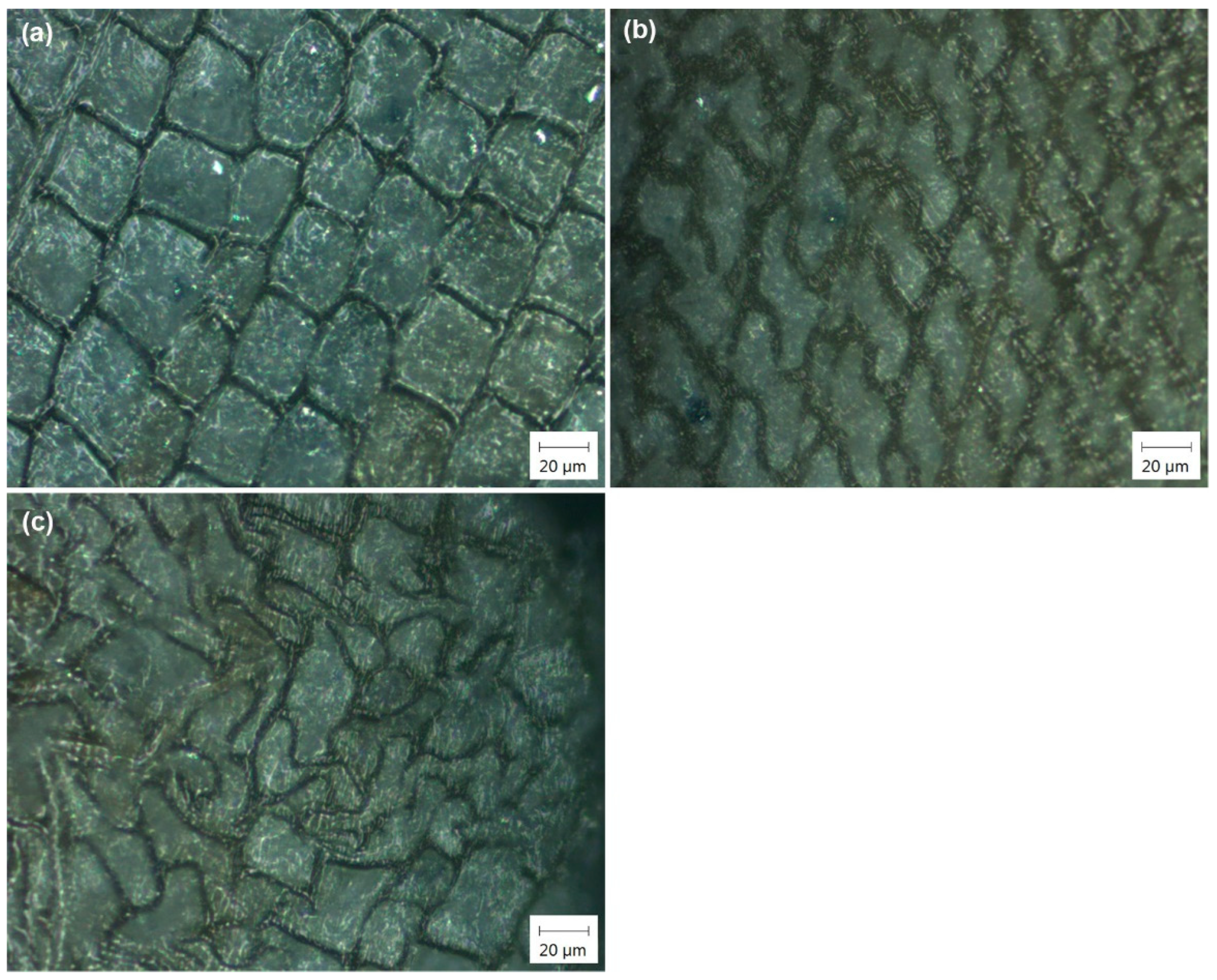 Applsci 12 05575 g008 Applsci 12 05575 g008
