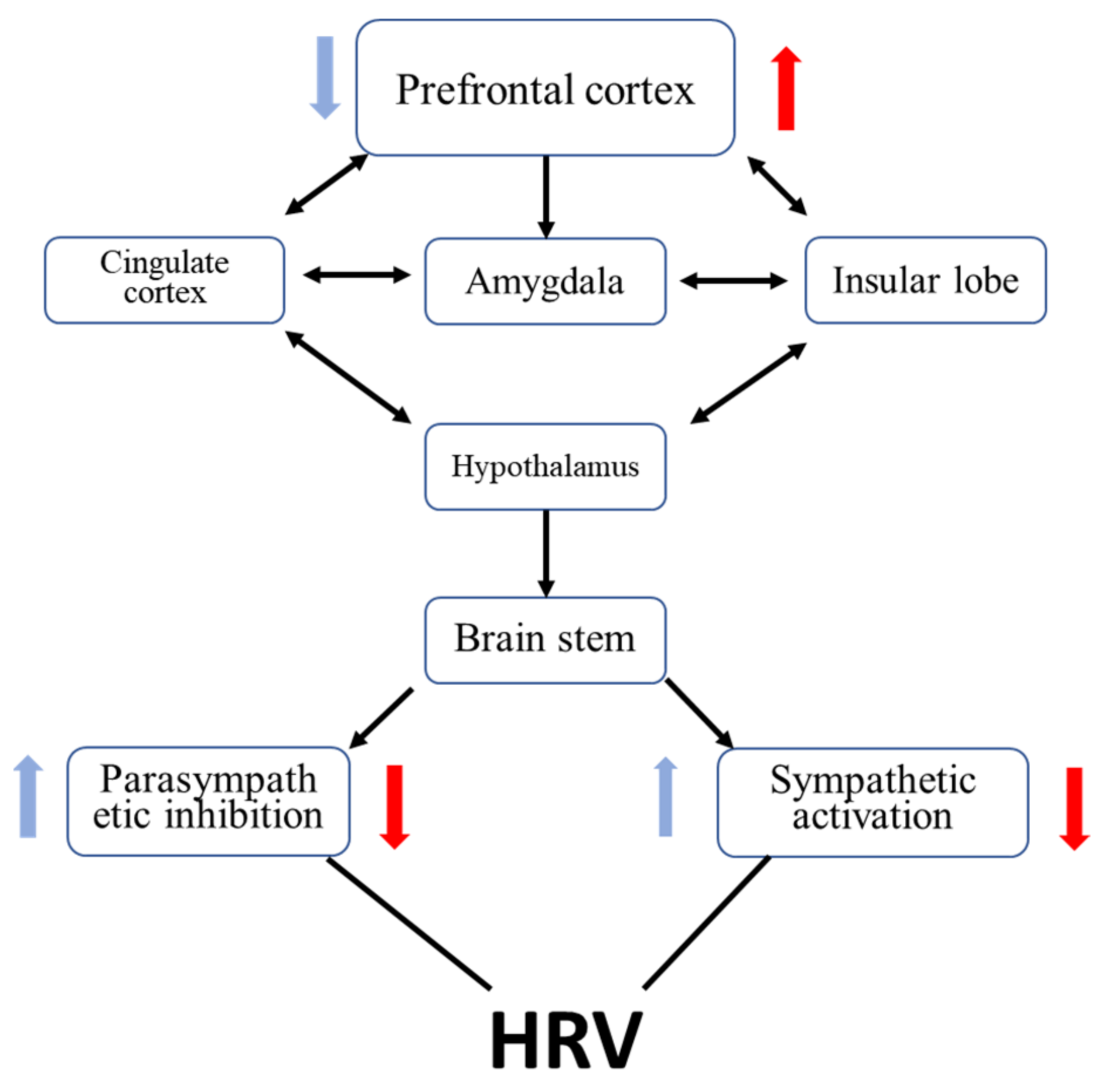 Applsci 12 05609 g005