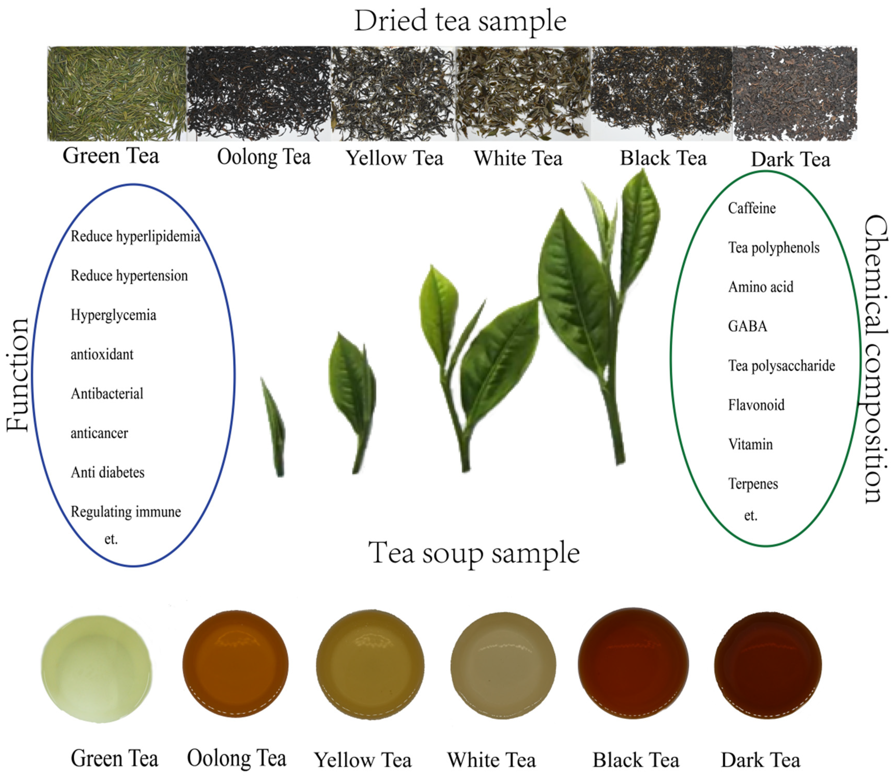Applied Sciences | Free Full-Text | Tea (Camellia sinensis): A Review of  Nutritional Composition, Potential Applications, and Omics Research