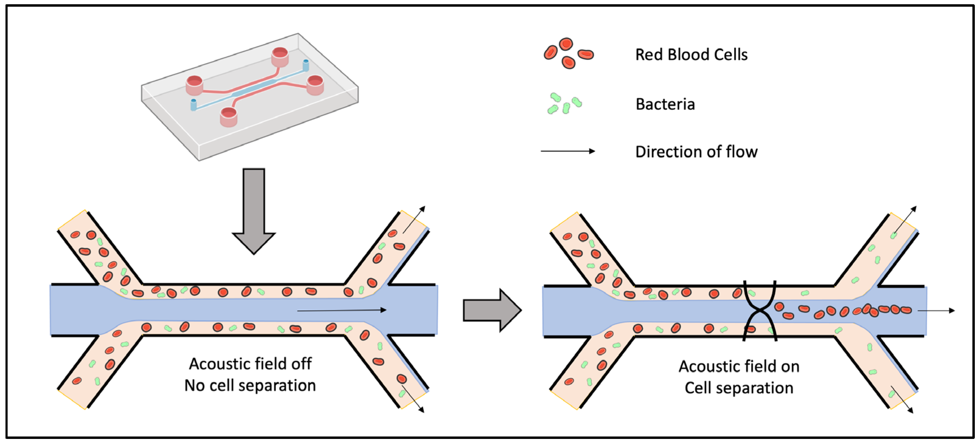 Applsci 12 05892 g004
