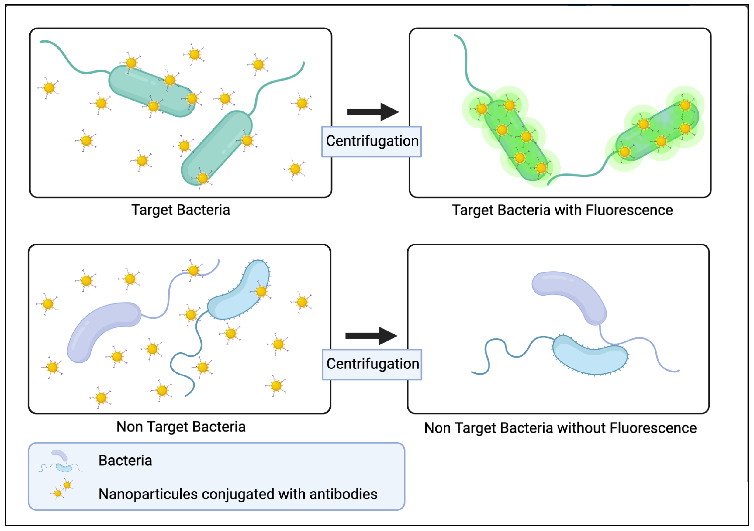 Applsci 12 05892 g008