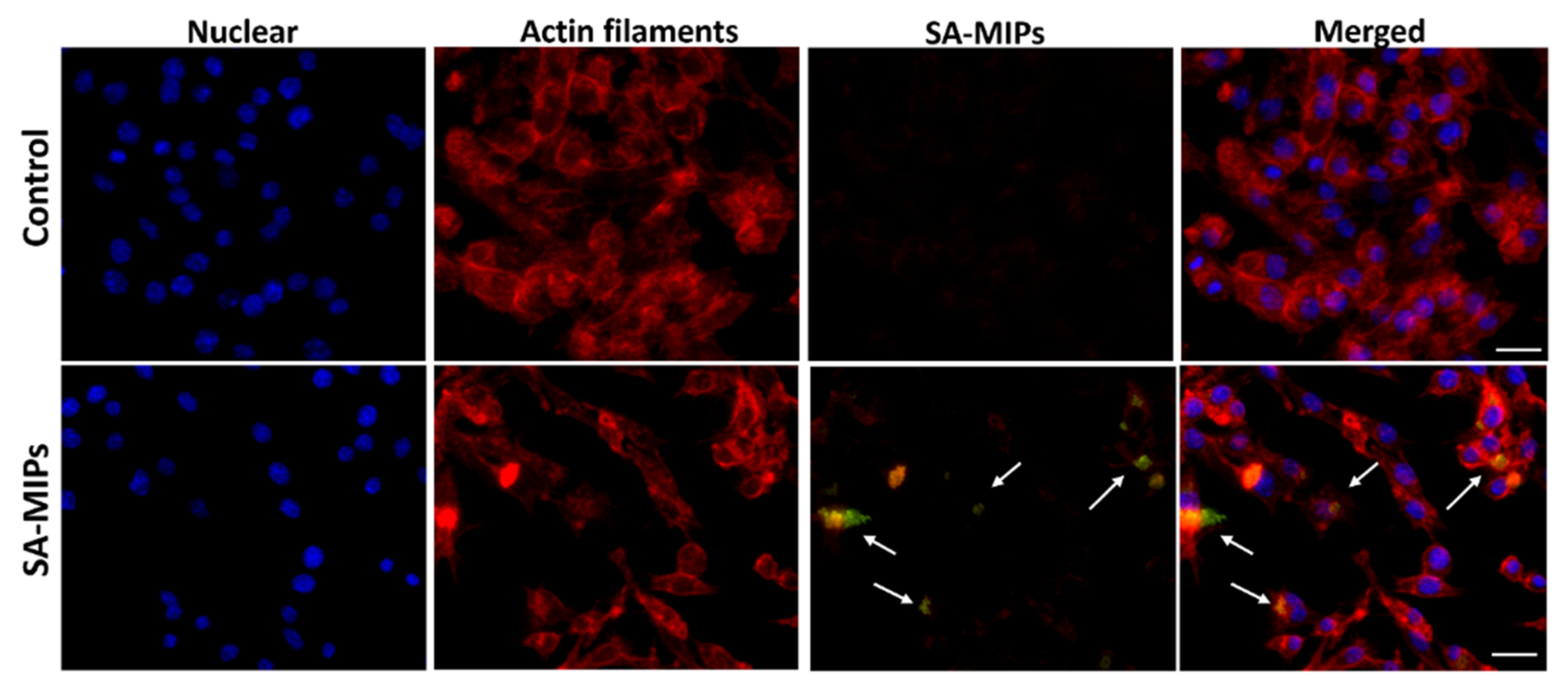 Applsci 12 06091 g002
